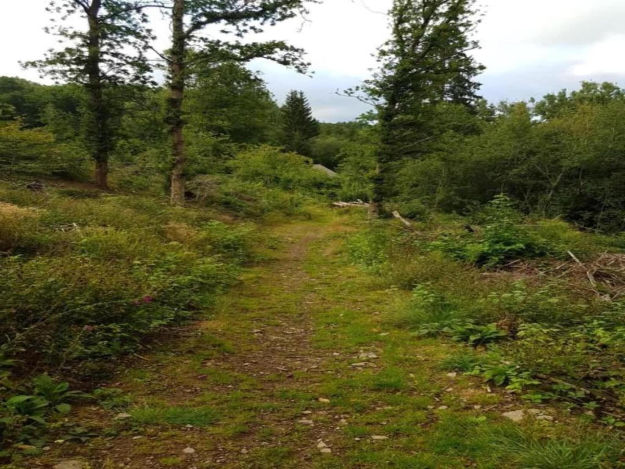 De omgeving van Villapark De Weerribben 5 in Paasloo