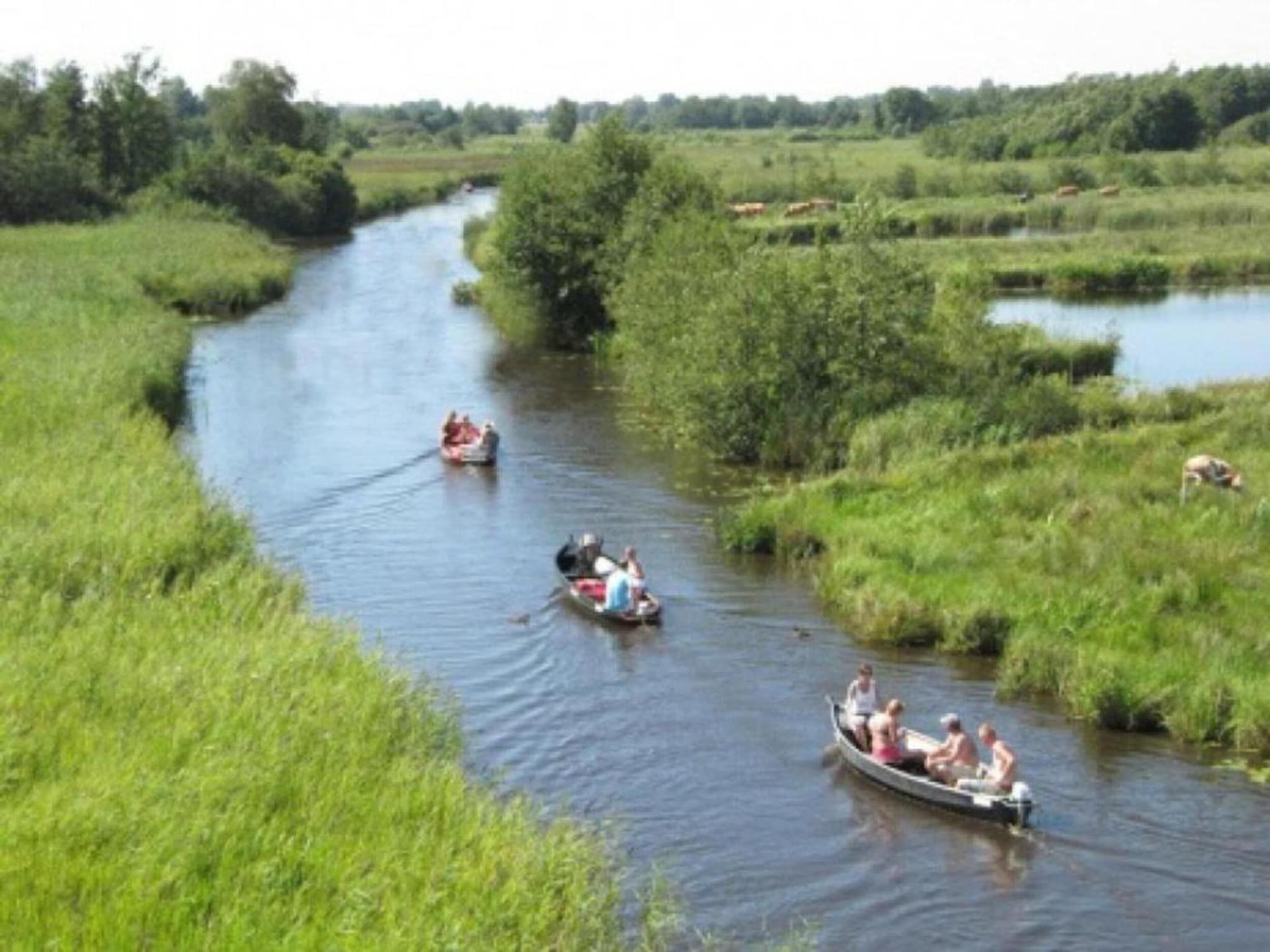 De omgeving van Villapark De Weerribben 3 in Paasloo