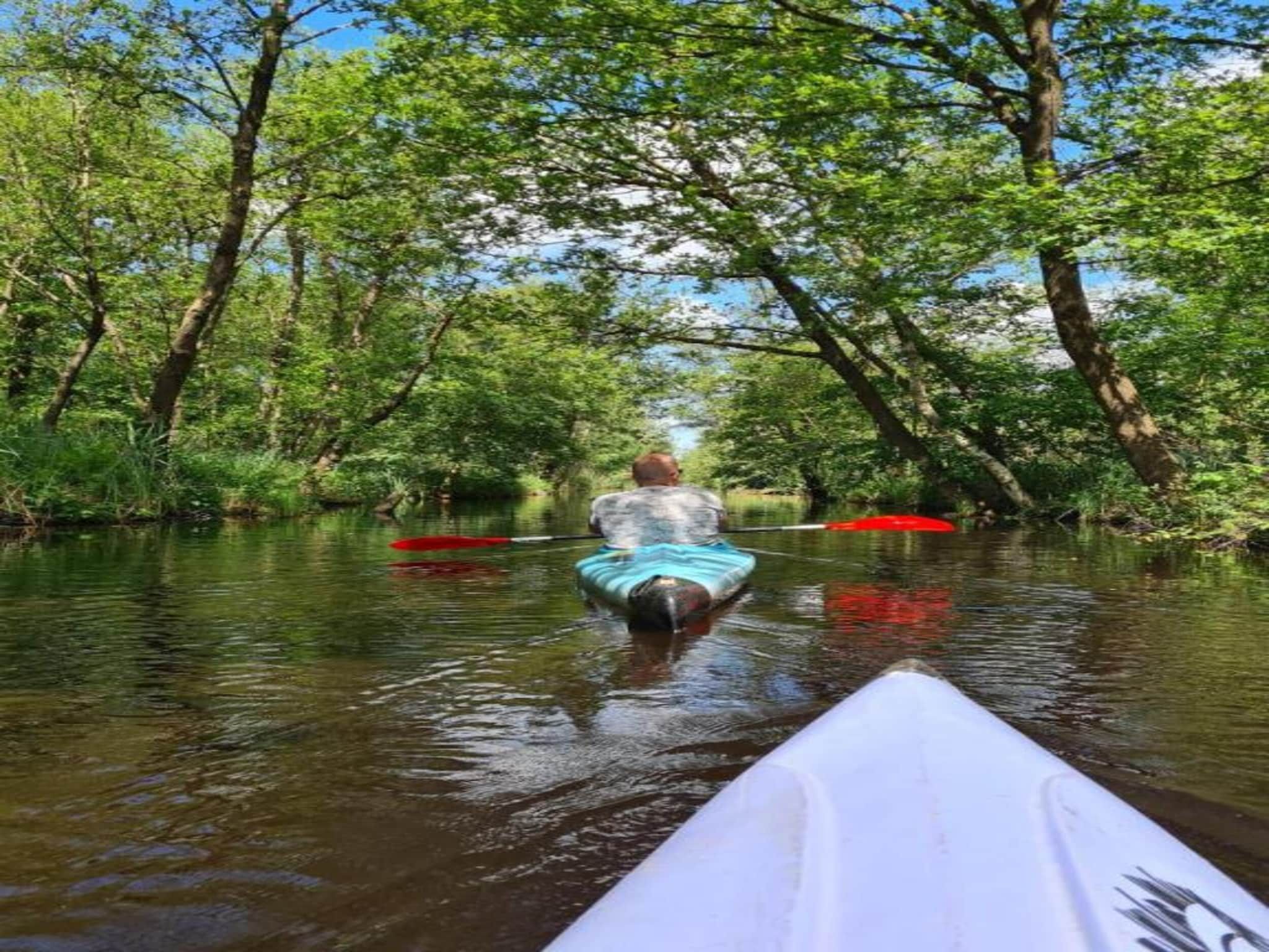 De omgeving van Villapark De Weerribben 3 in Paasloo