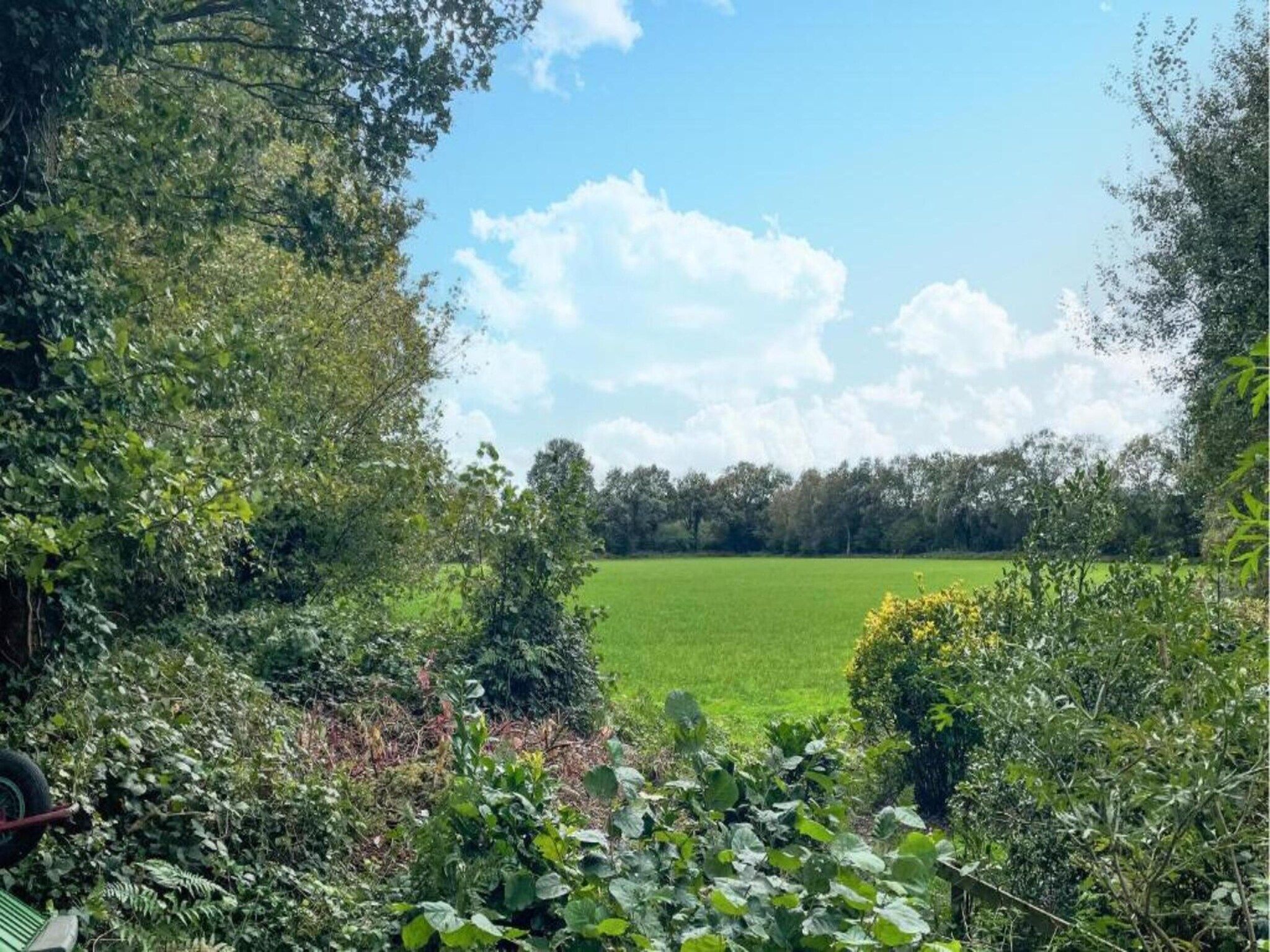 De omgeving van Villapark De Weerribben 3 in Paasloo