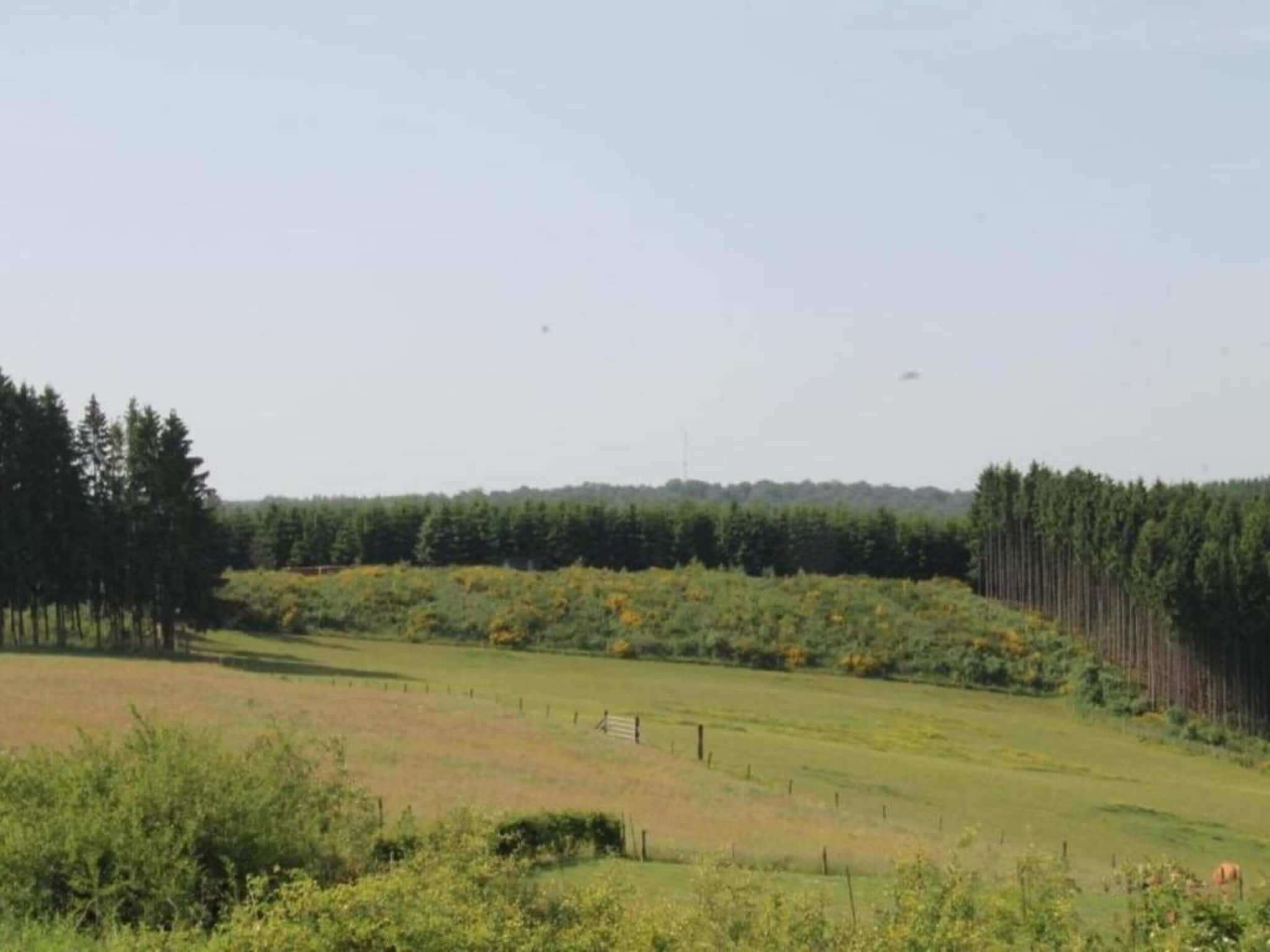 De omgeving van Villapark De Weerribben 3 in Paasloo