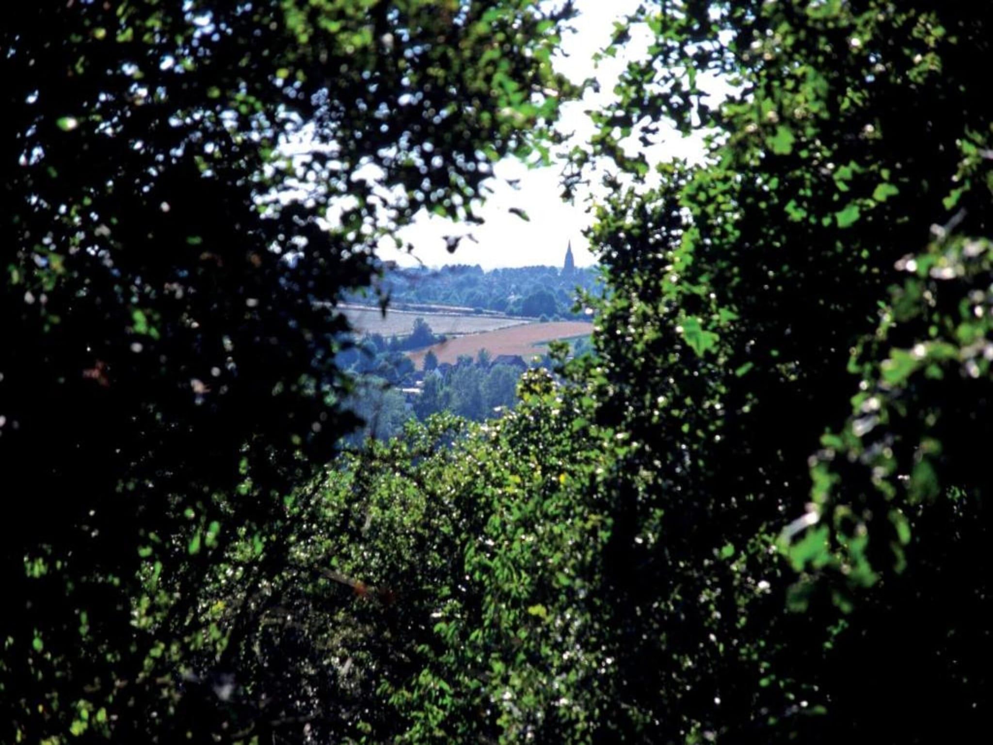 Résidence Klein Vink 2 in Arcen - Foto 35 van 40