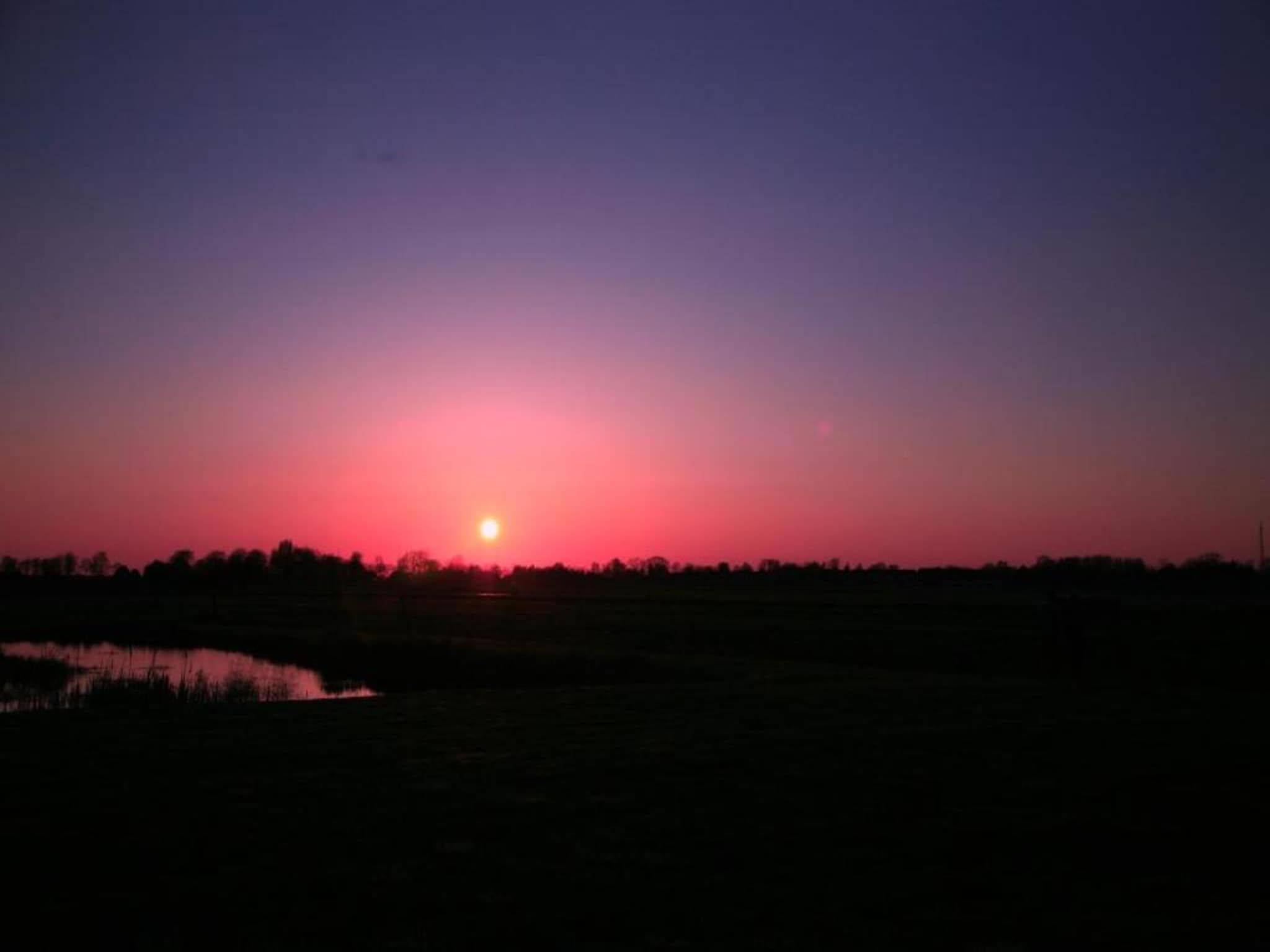 De omgeving van Vakantiepark Giethoorn 4 in Giethoorn