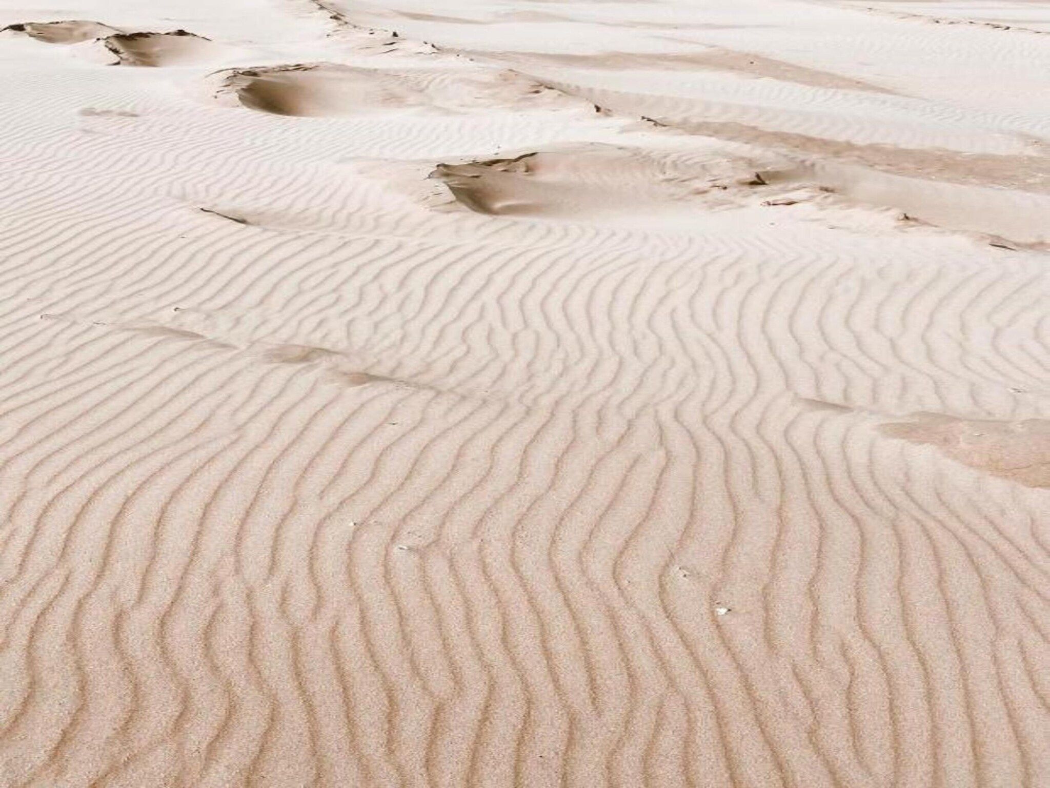 De omgeving van Bungalowpark de Gouden Spar 2 in Noordwijk