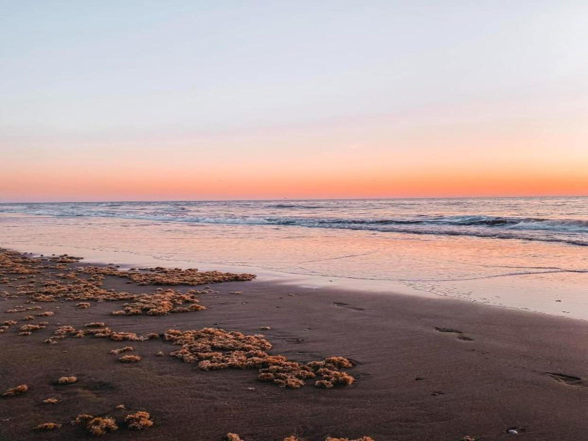 De omgeving van Bungalowpark de Gouden Spar 2 in Noordwijk