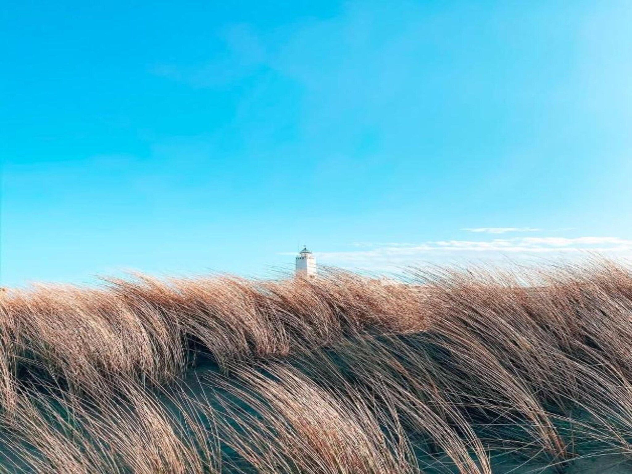 De omgeving van Bungalowpark de Gouden Spar 2 in Noordwijk