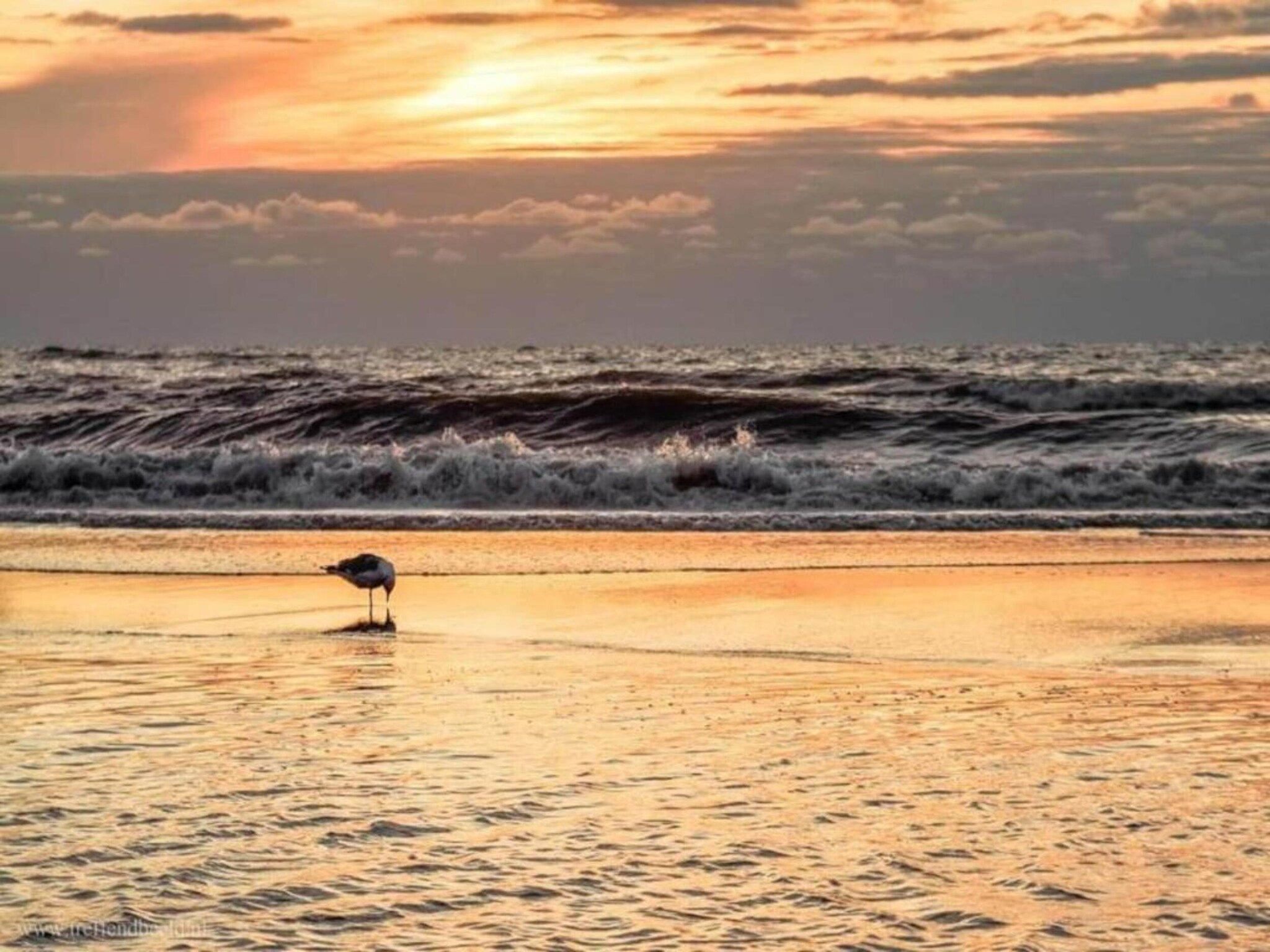 De omgeving van Bungalowpark de Gouden Spar 2 in Noordwijk