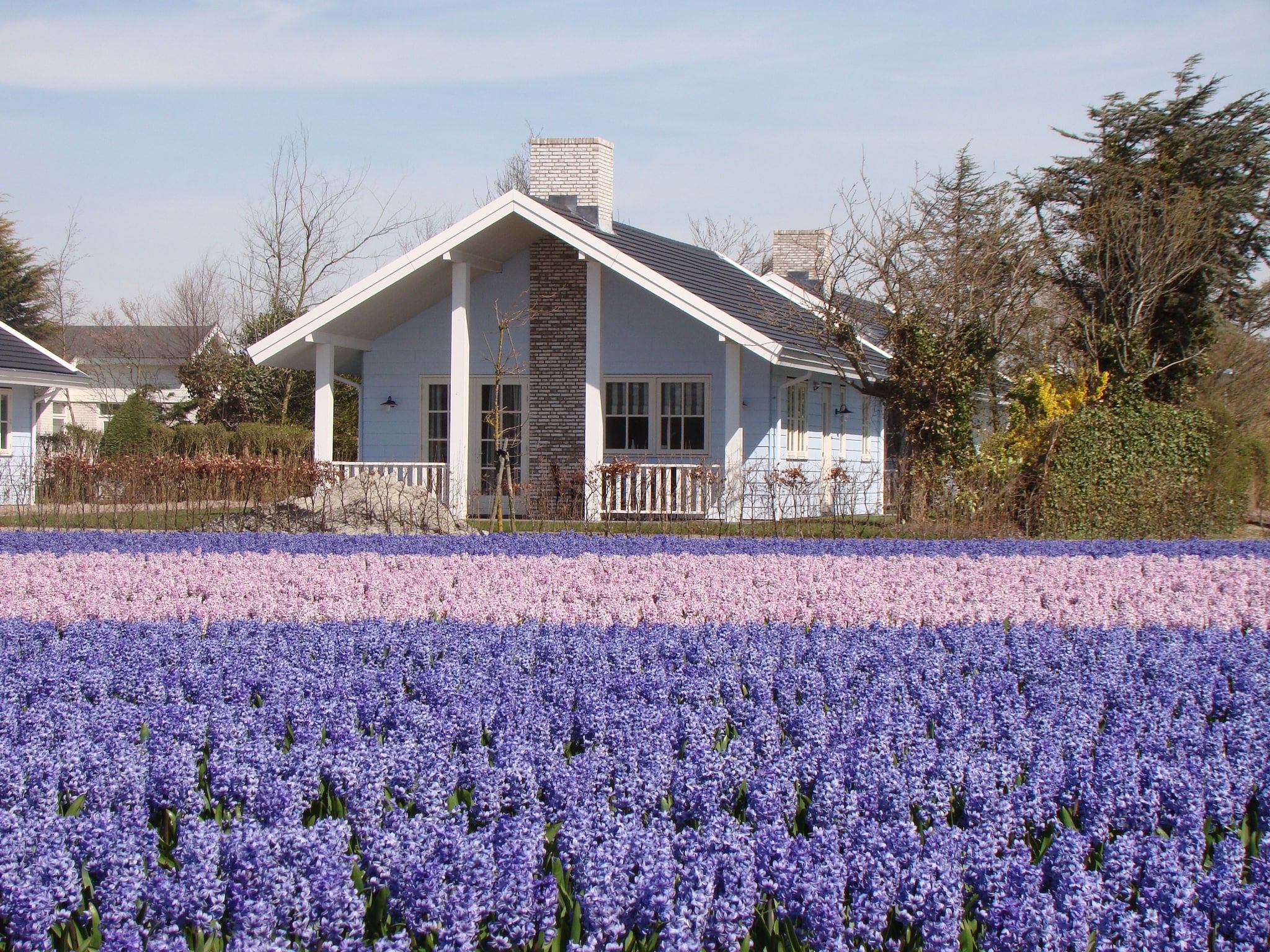 De buitenkant van Bungalowpark de Gouden Spar 3 in Noordwijk