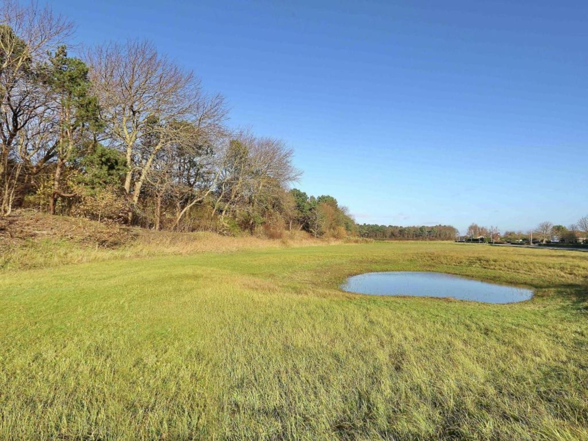 De omgeving van Bungalowpark de Gouden Spar 4 in Noordwijk