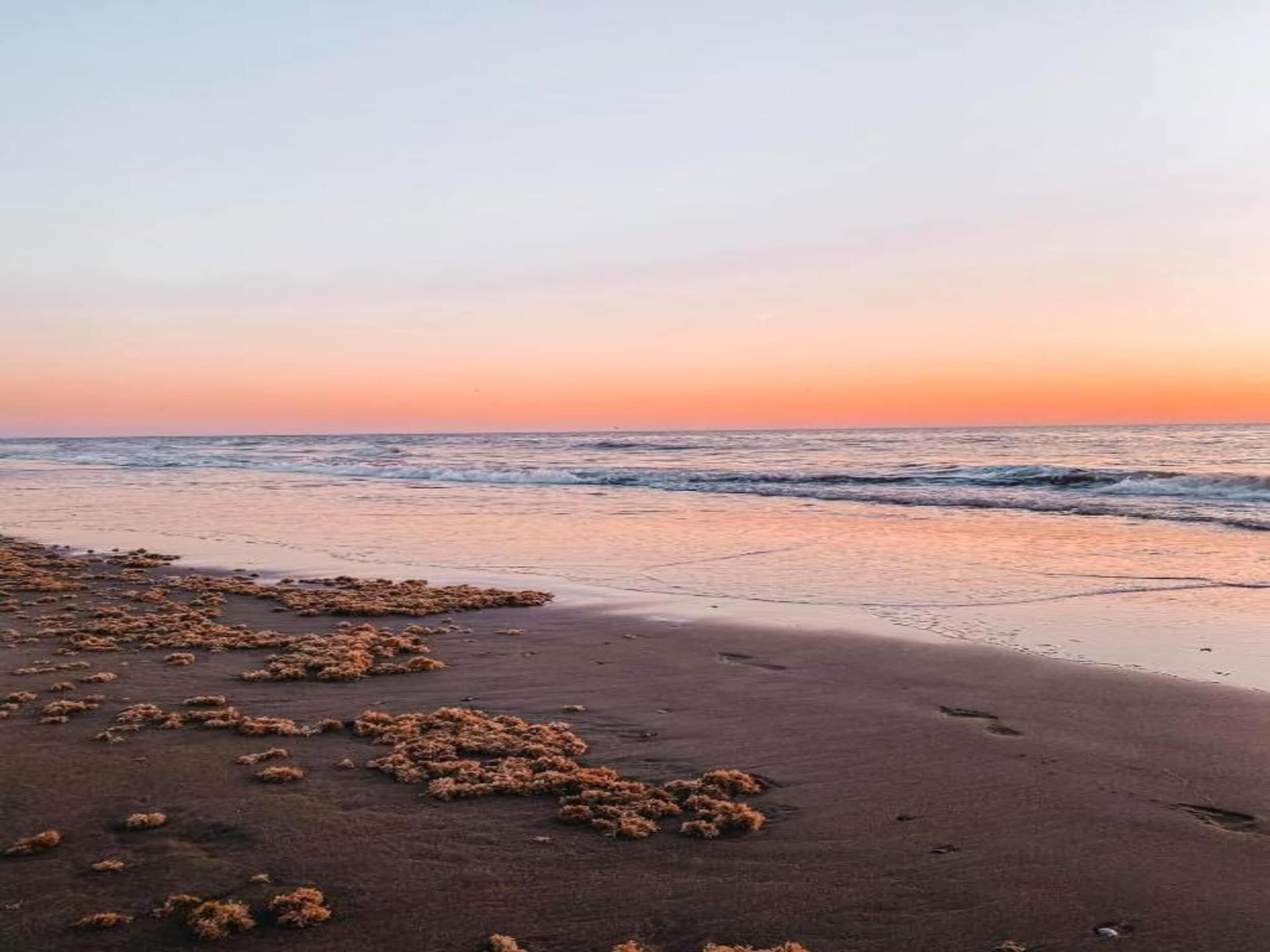 De omgeving van Bungalowpark de Gouden Spar 4 in Noordwijk