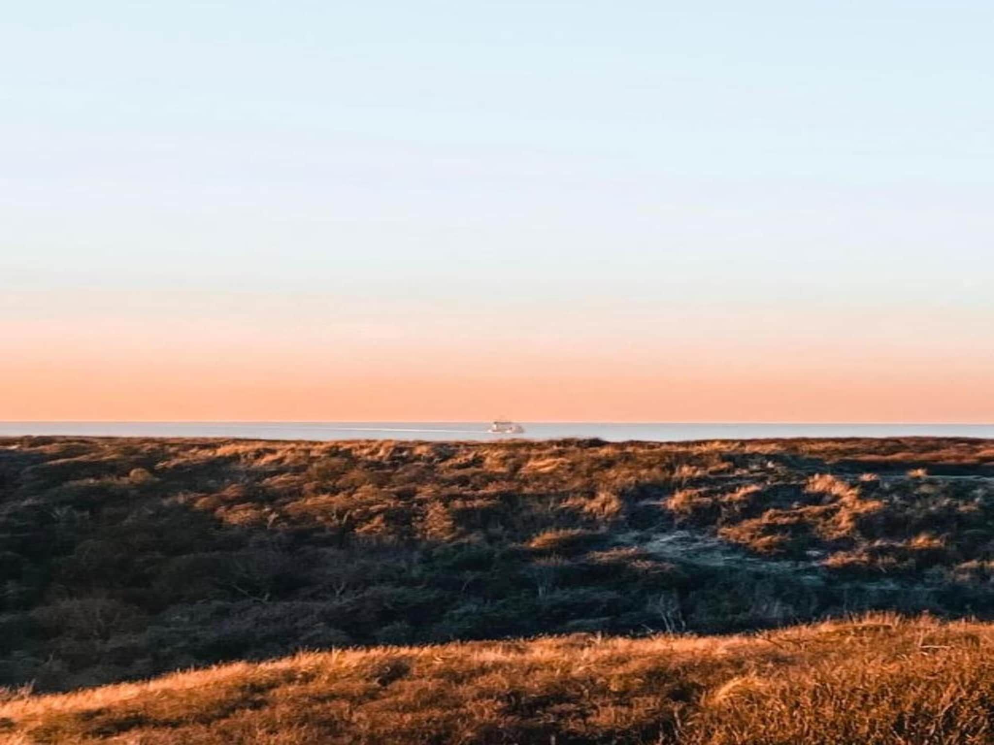 De omgeving van Bungalowpark de Gouden Spar 4 in Noordwijk