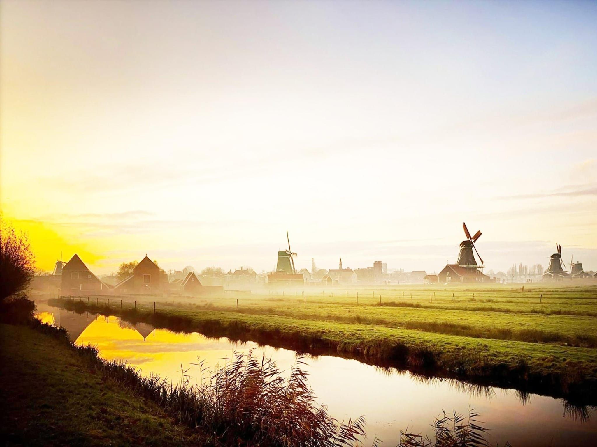 De Edammer  4 personen in West-Graftdijk - Foto 16 van 16