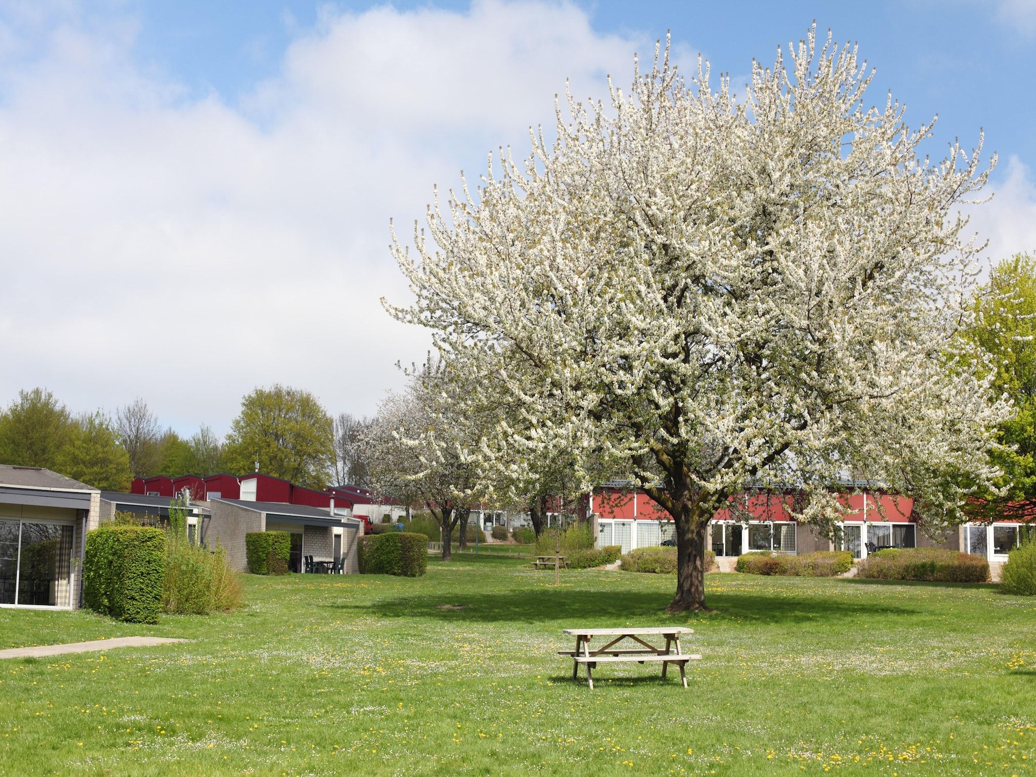 De tuin van Bungalowpark Schin op Geul 3 in Walem