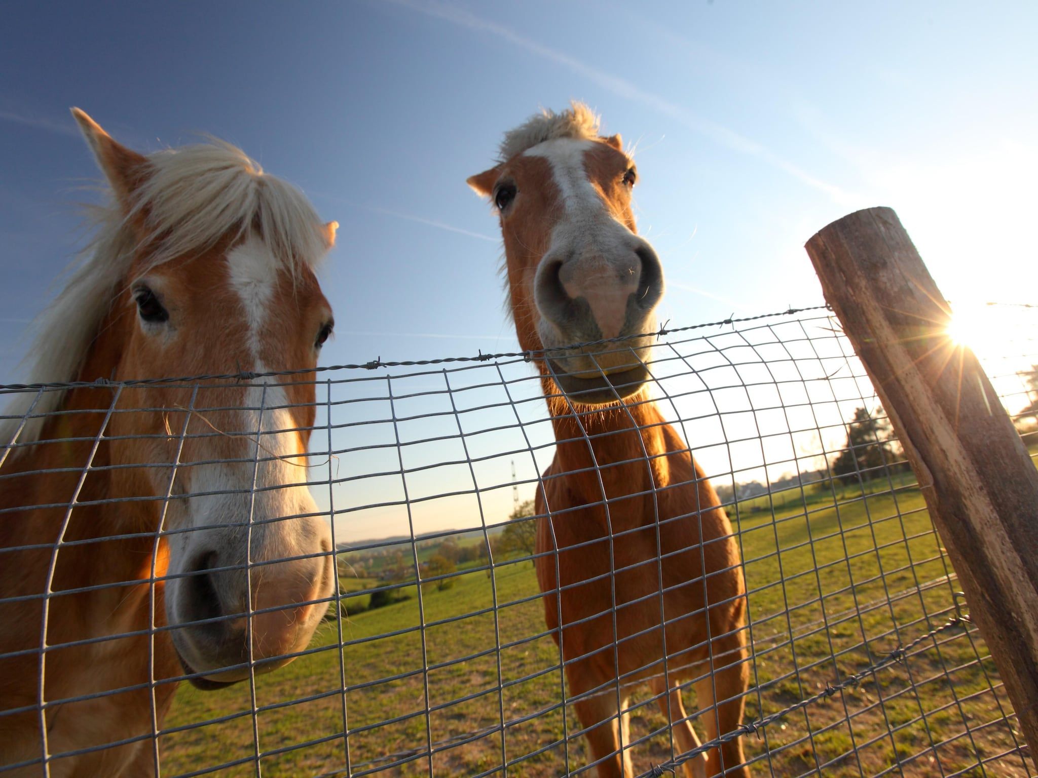 Sfeerbeeld van Bungalowpark Schin op Geul 6 in Walem