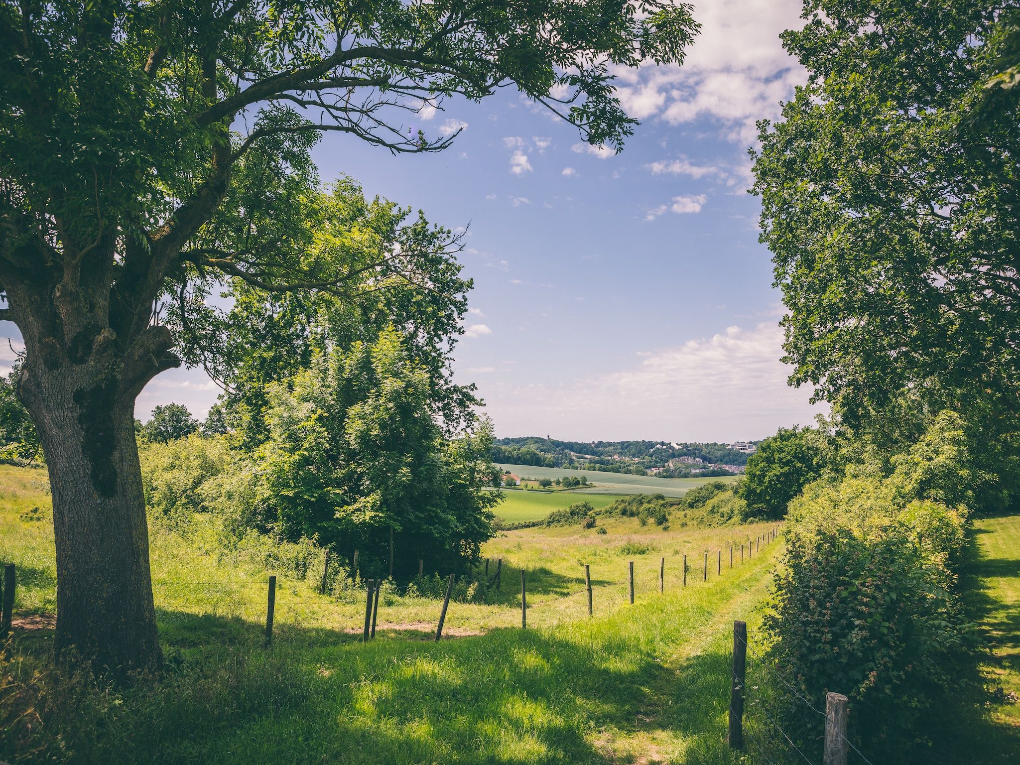 De omgeving van Bungalowpark Schin op Geul 6 in Walem
