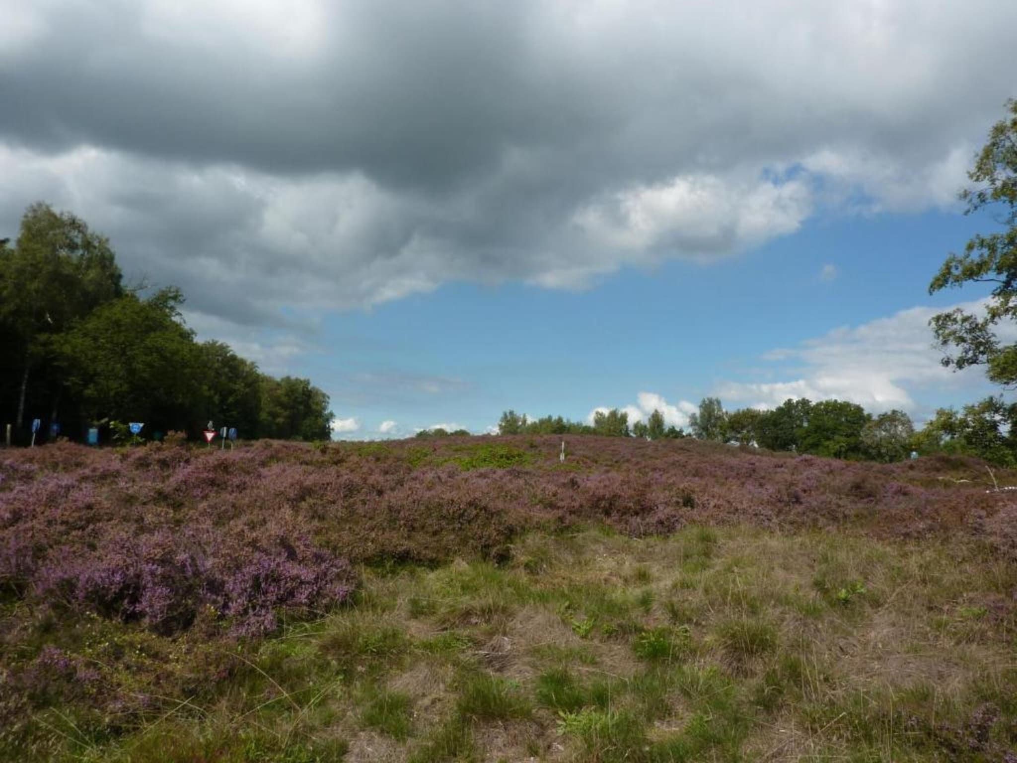 Bospark Lunsbergen 2 in Borger - Foto 36 van 40