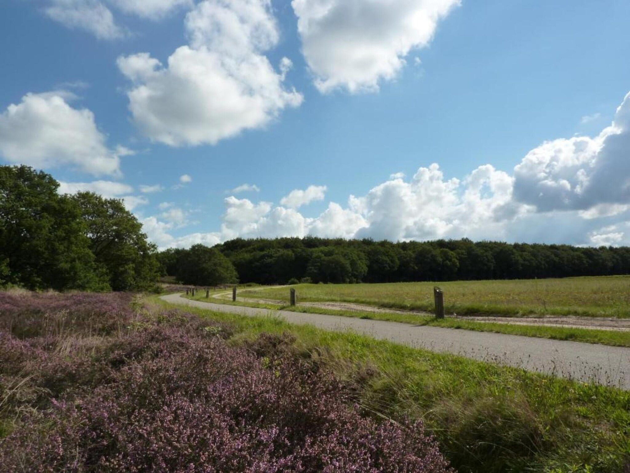 Bospark Lunsbergen 2 in Borger - Foto 34 van 40