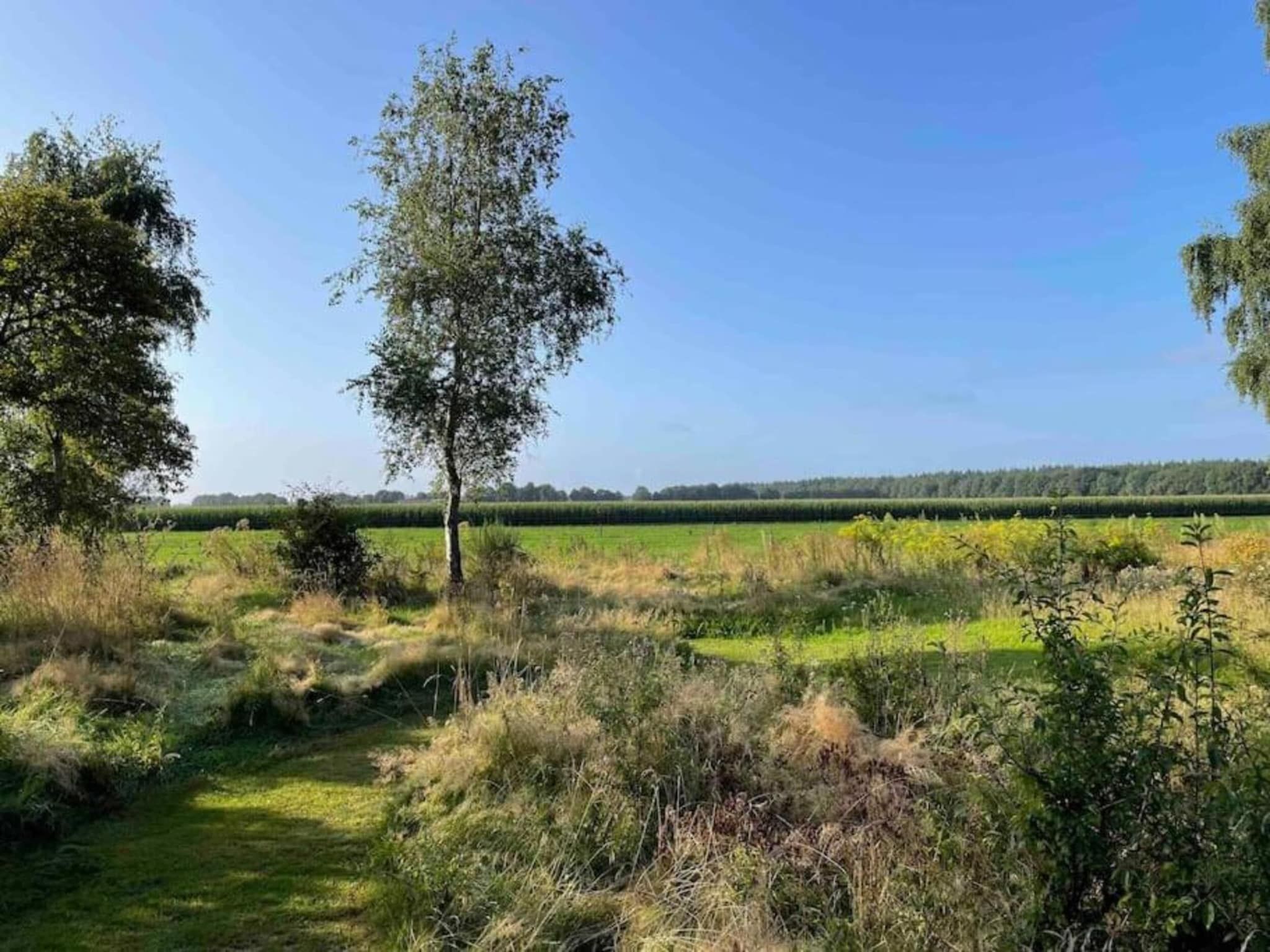 Bospark Lunsbergen 2 in Borger - Foto 38 van 40