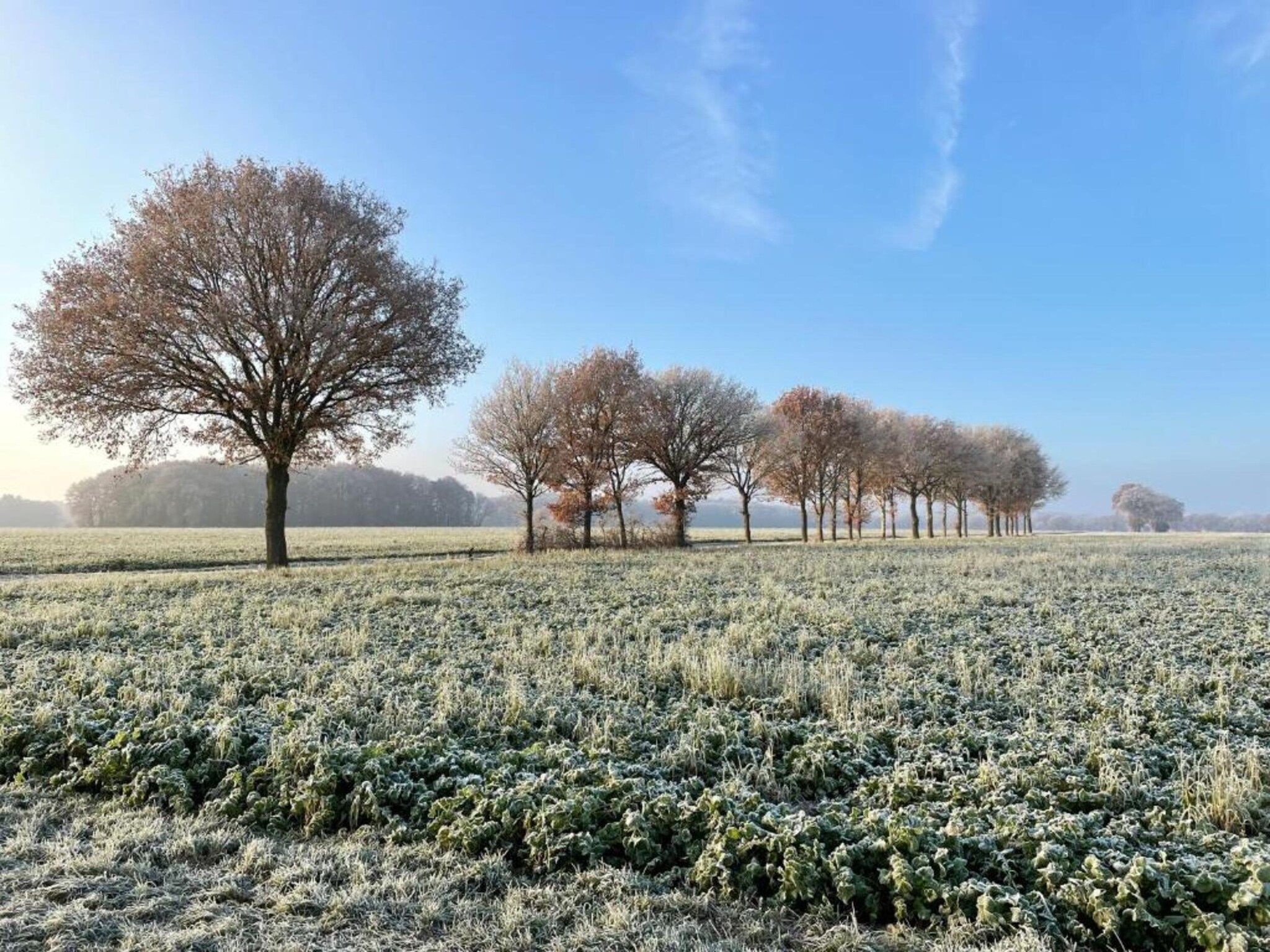 Bospark Lunsbergen 2 in Borger - Foto 11 van 40