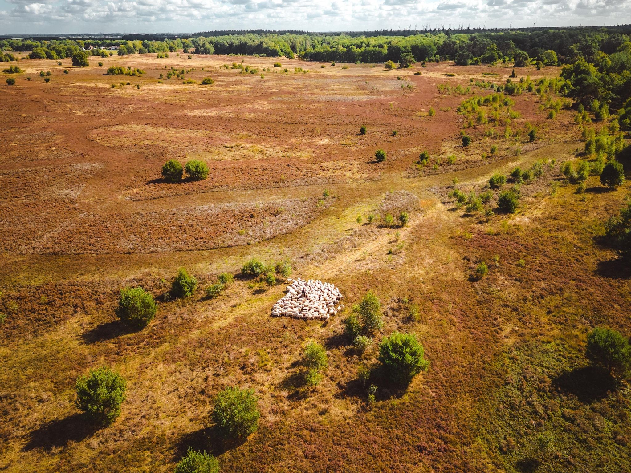 De omgeving van Hunzepark 2 in Gasselternijveen