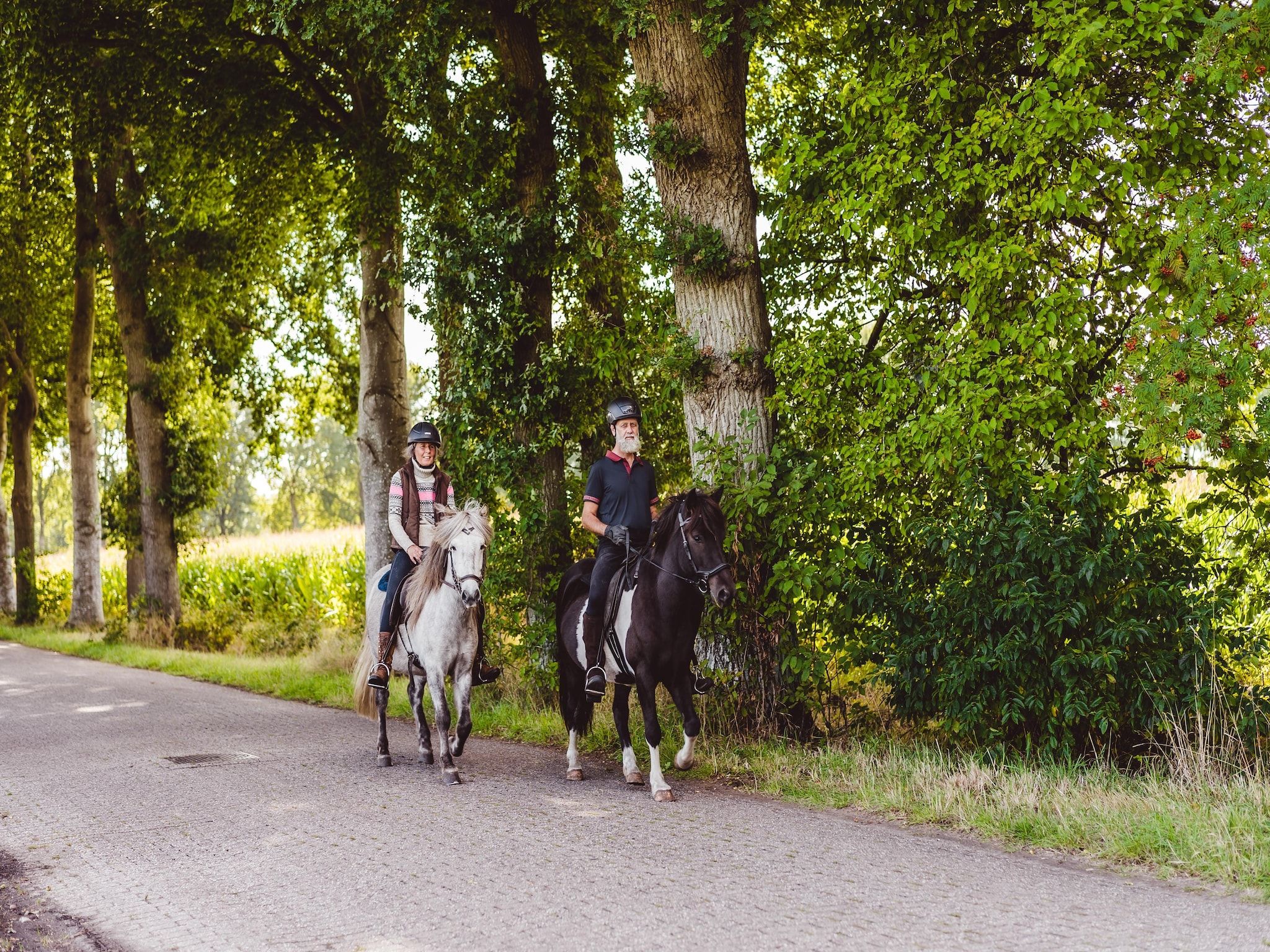 De omgeving van Hunzepark 9 in Gasselternijveen