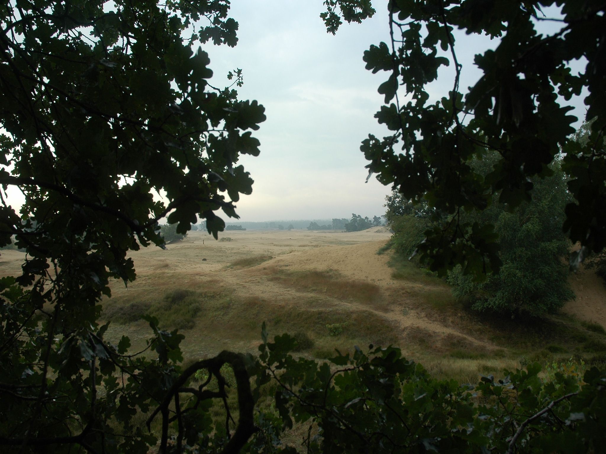 Landgoed De IJsvogel 2 in Voorthuizen - Foto 26 van 40