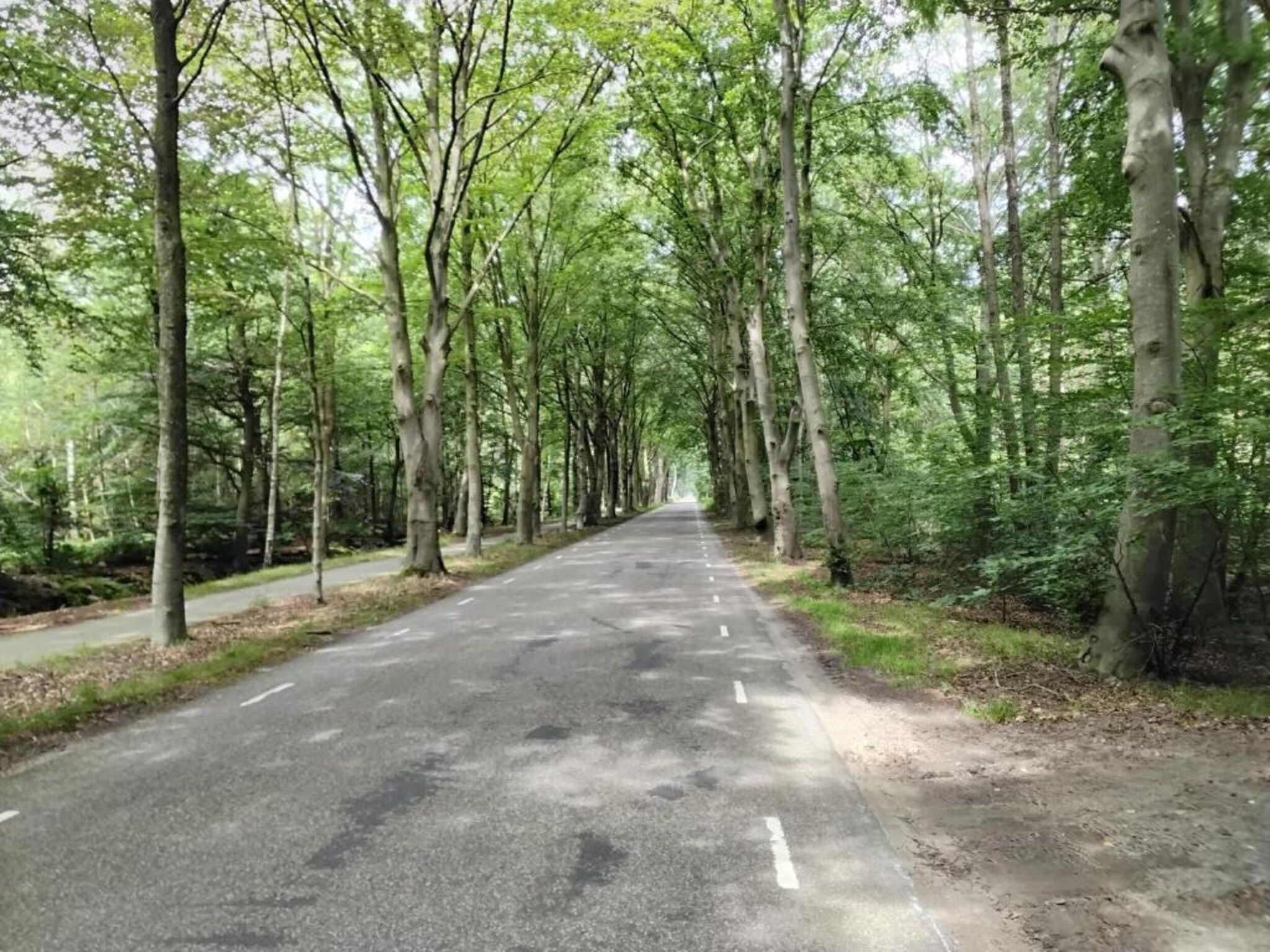 Landgoed Eysinga State 4 in Sint Nicolaasga - Foto 25 van 37