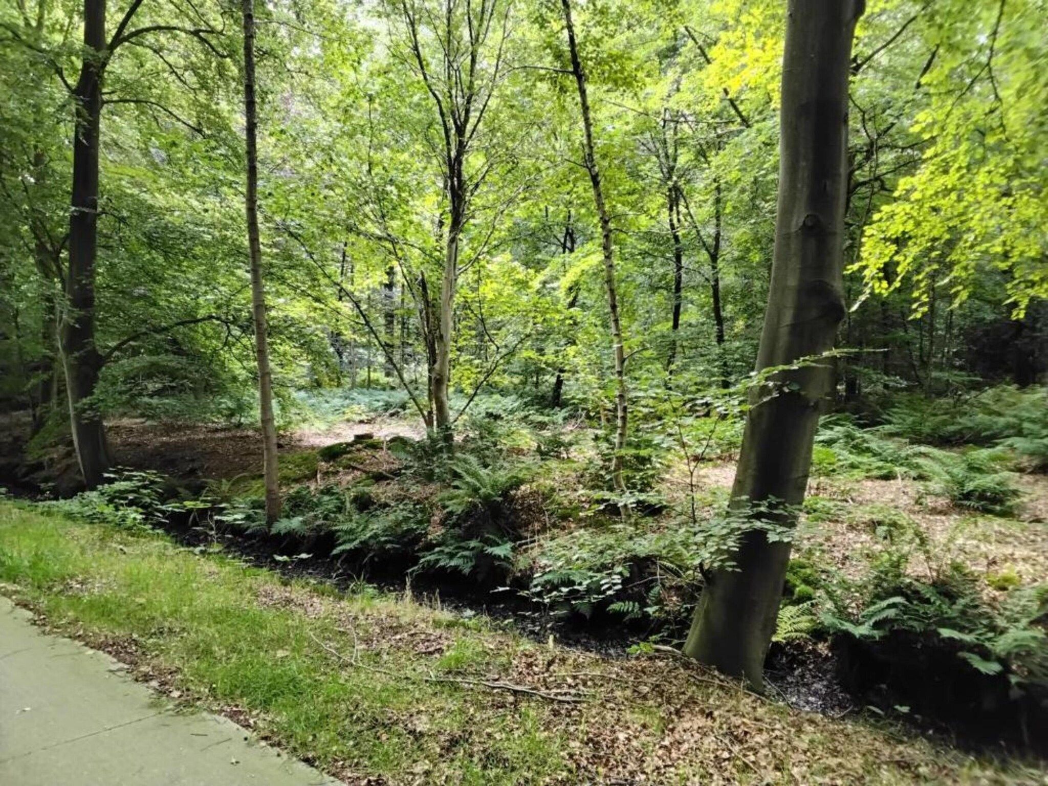 Landgoed Eysinga State 4 in Sint Nicolaasga - Foto 23 van 37