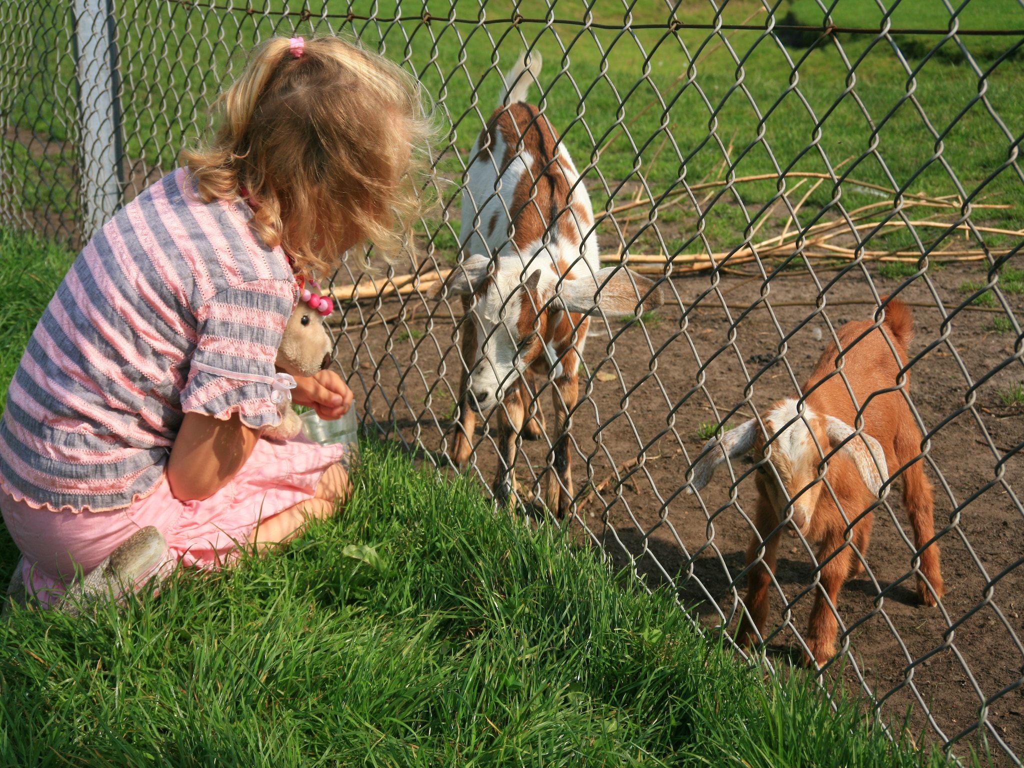 Parkfaciliteiten bij Villapark Akenveen 1 in Tynaarlo