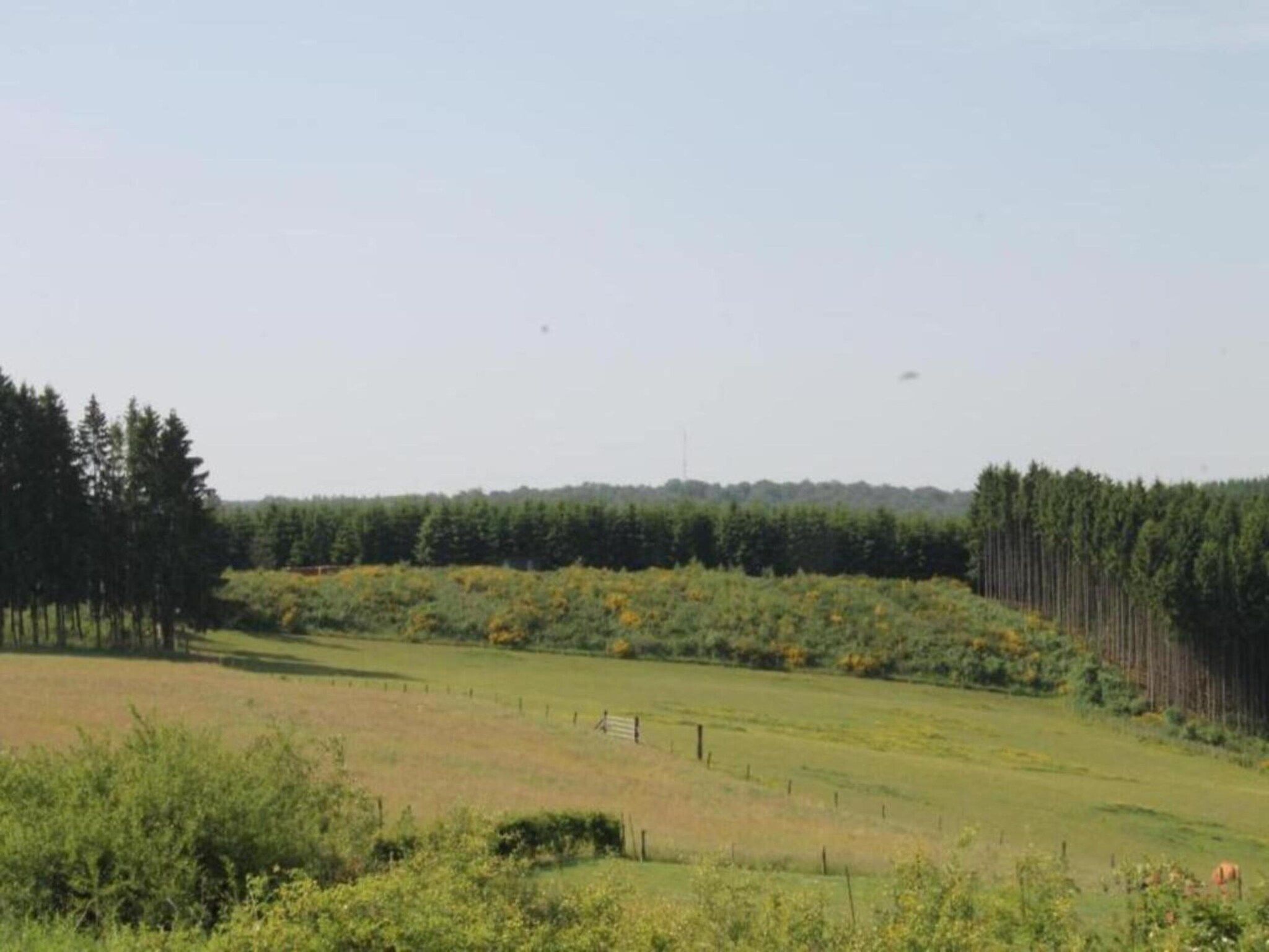 De omgeving van Résidence de Weerribben 1 in Paasloo