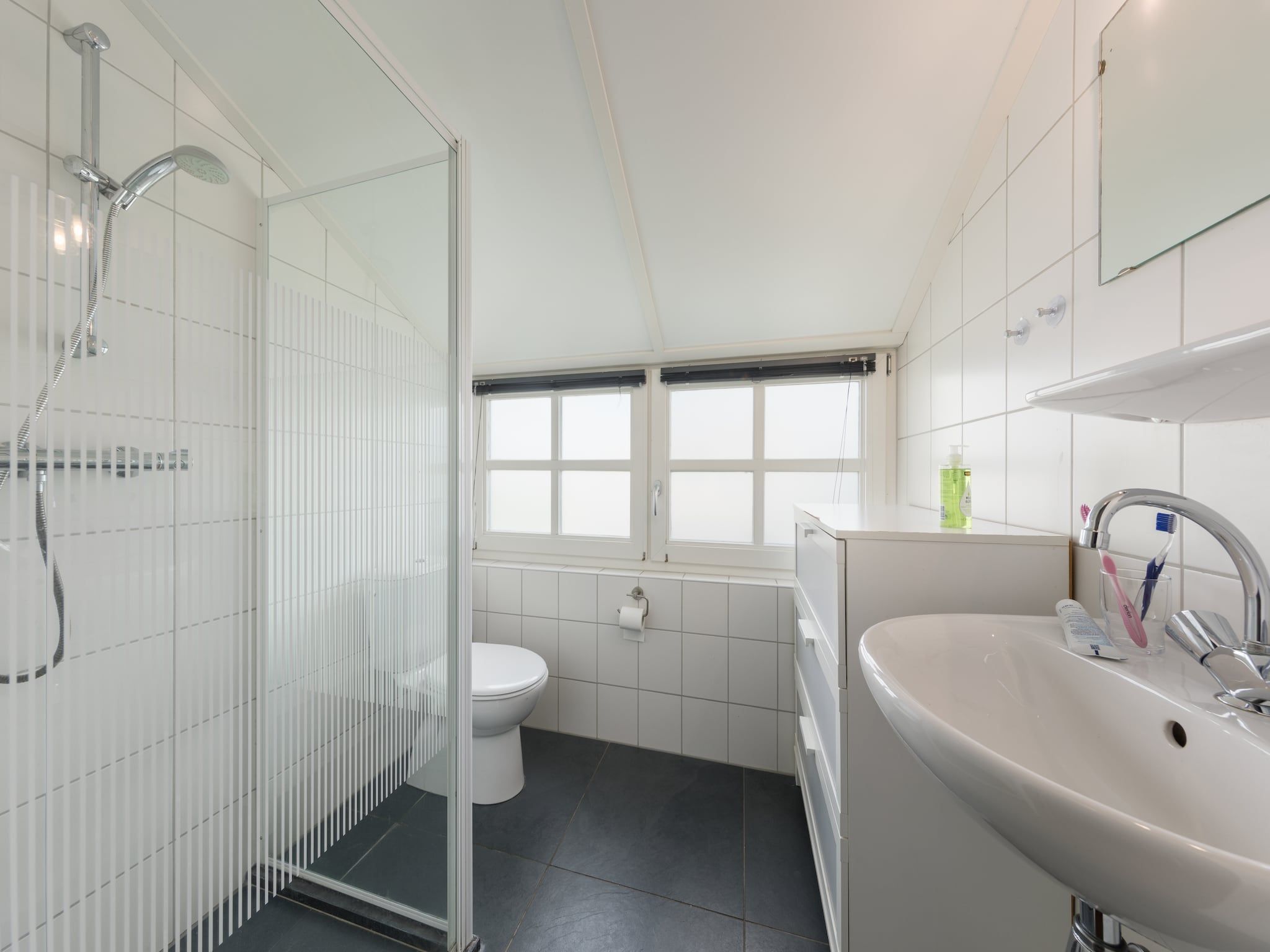 De badkamer van Waterpark Belterwiede 2 in Wanneperveen