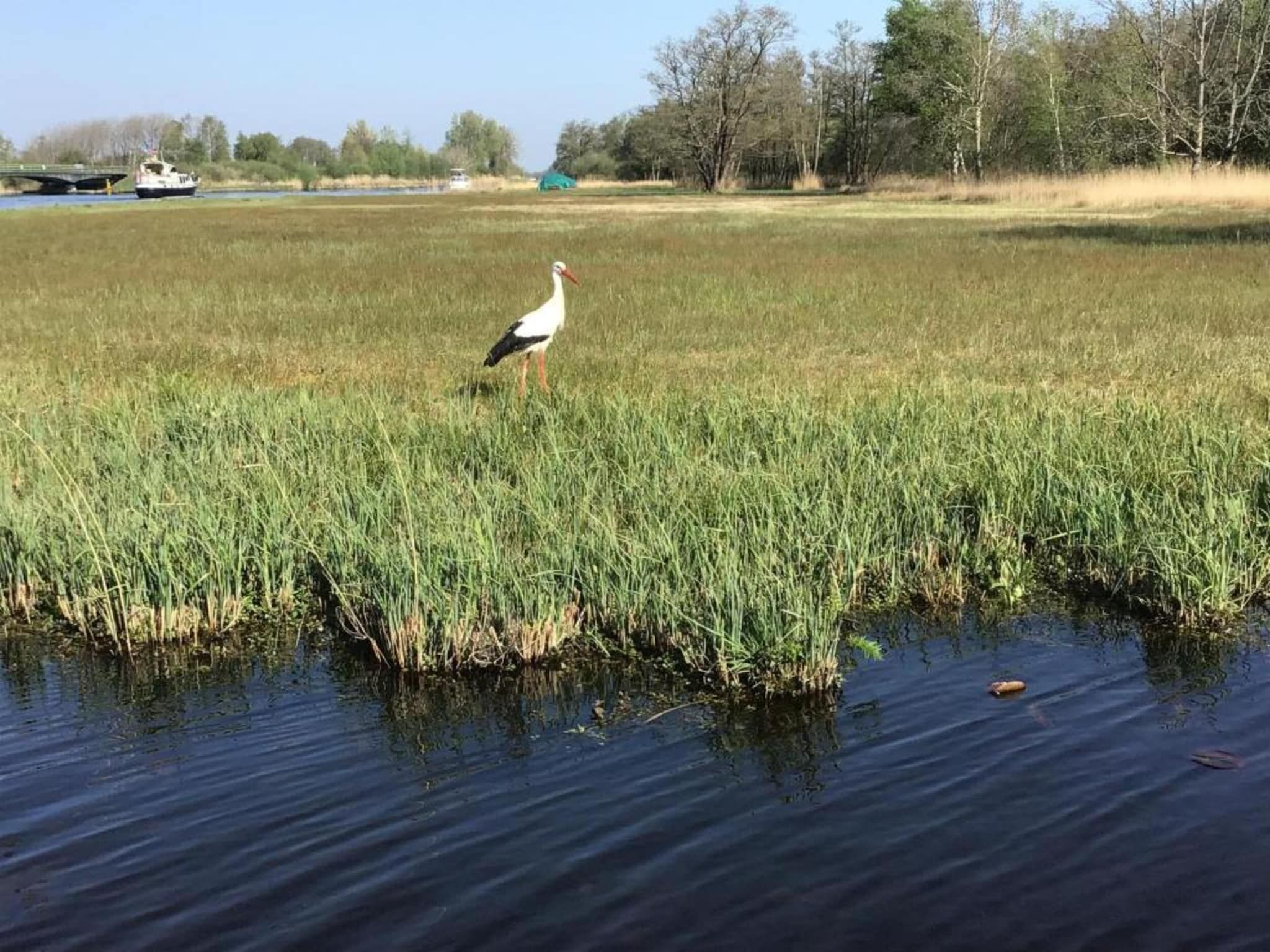 Waterpark Belterwiede 2 in Wanneperveen - Foto 37 van 40
