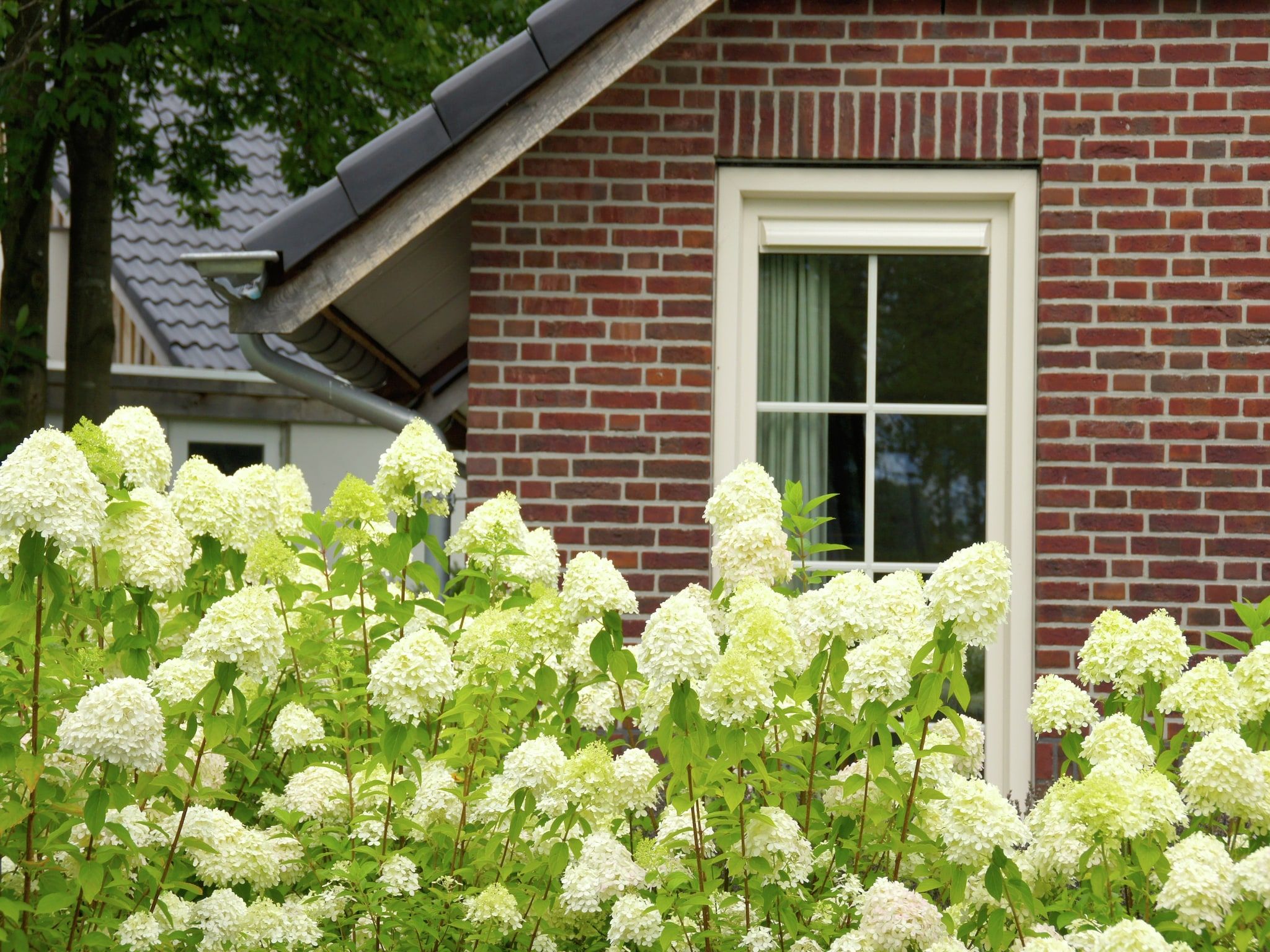 Sfeerbeeld van Hof van Salland 2 in Hellendoorn