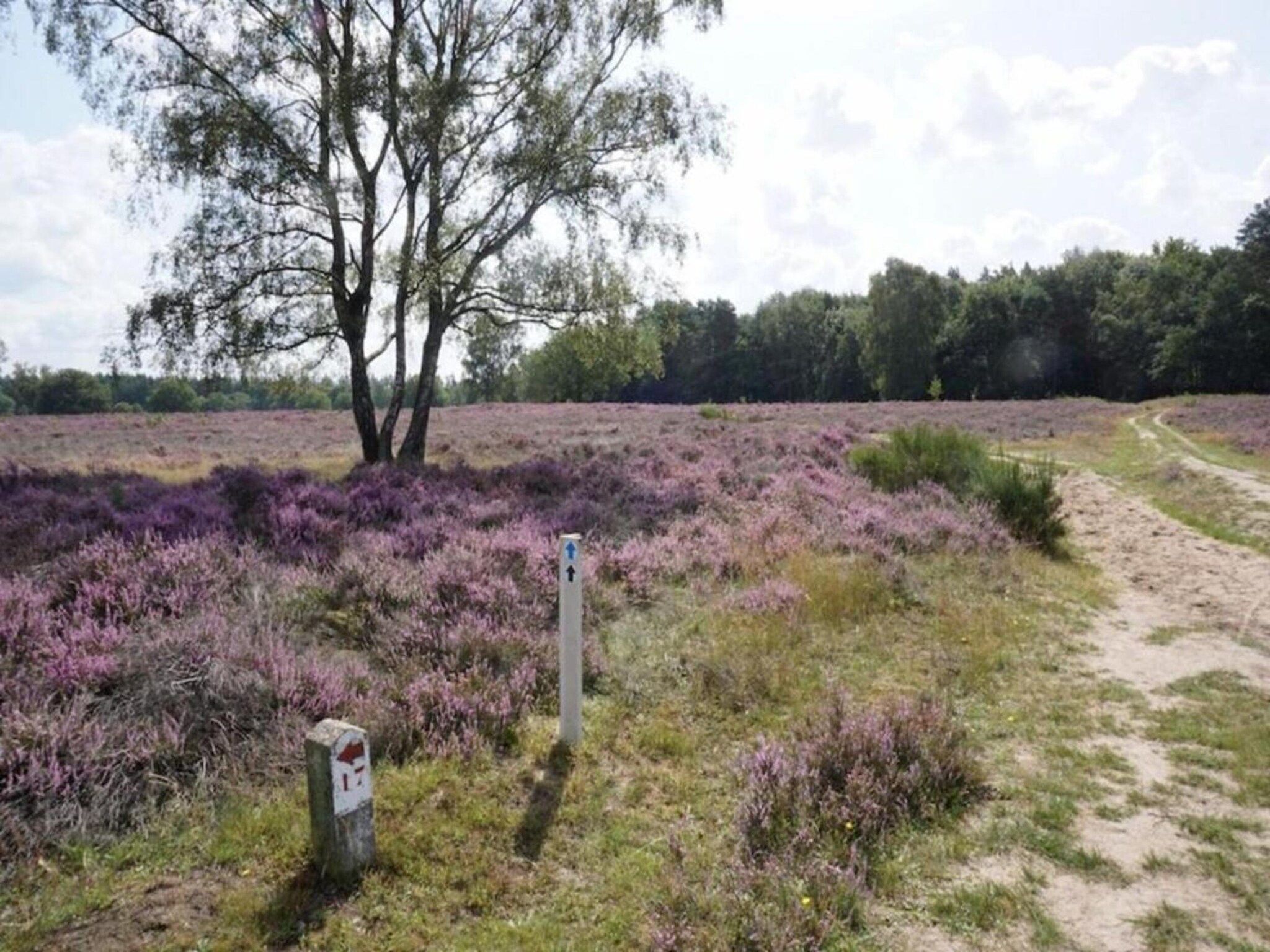 De omgeving van Hof van Salland 2 in Hellendoorn