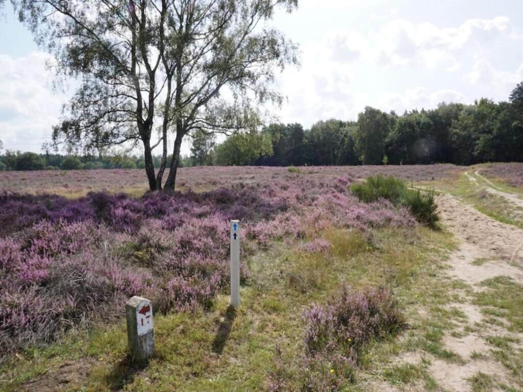 De omgeving van Hof van Salland 1 in Hellendoorn