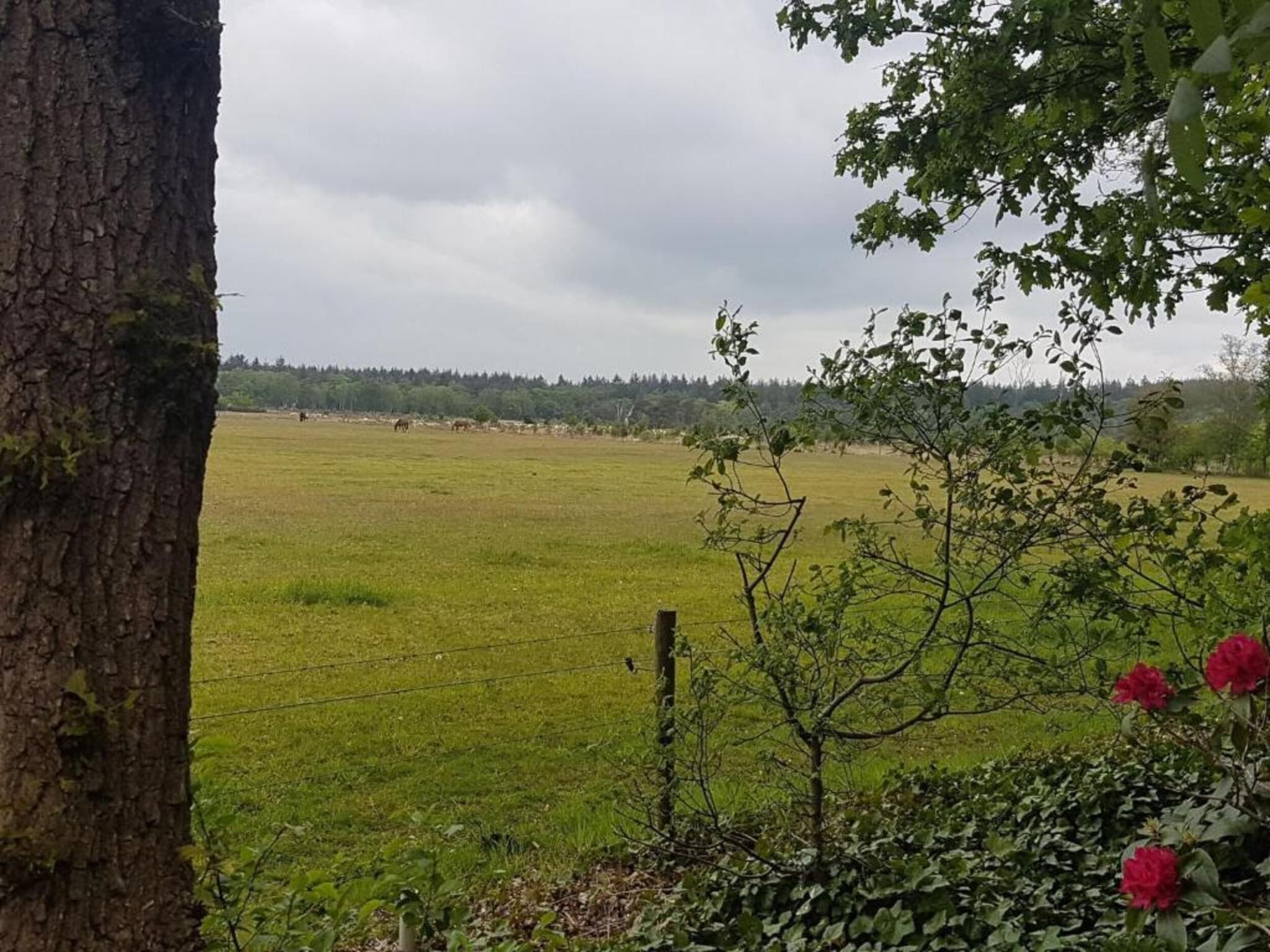 De omgeving van Hof van Salland 4 in Hellendoorn