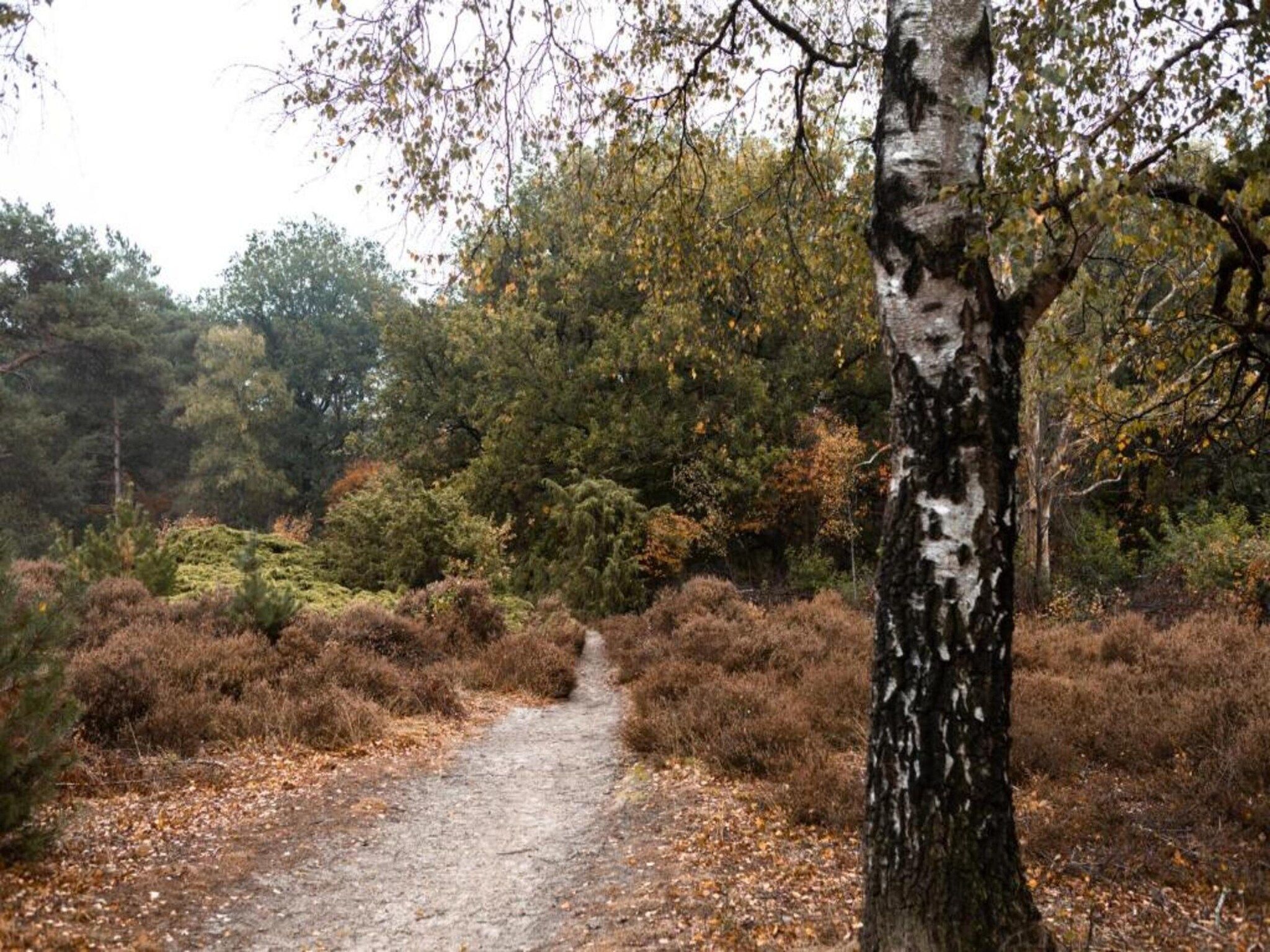 De omgeving van Hof van Salland 4 in Hellendoorn