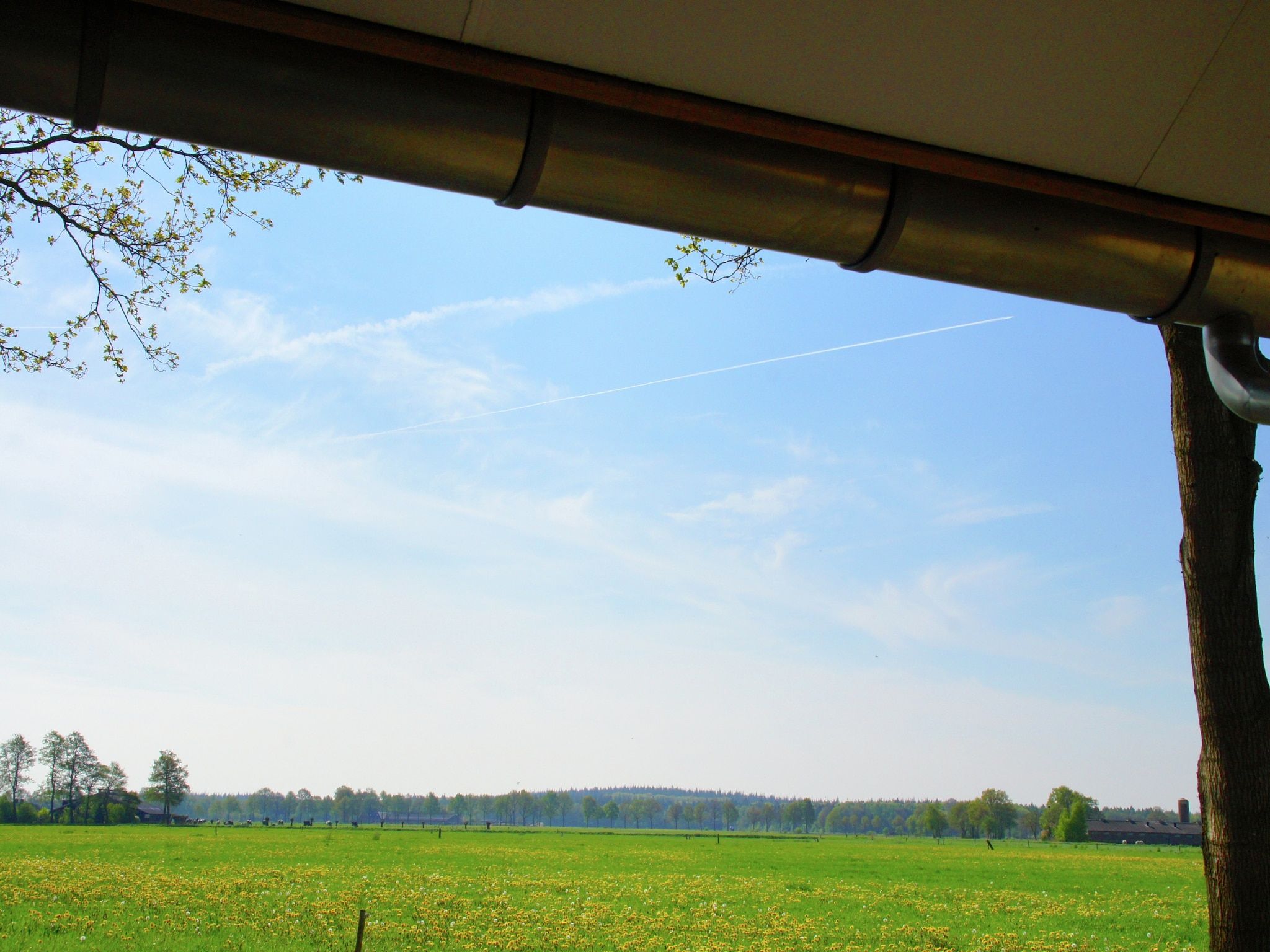 Hof van Salland 5 in Hellendoorn - Foto 8 van 35