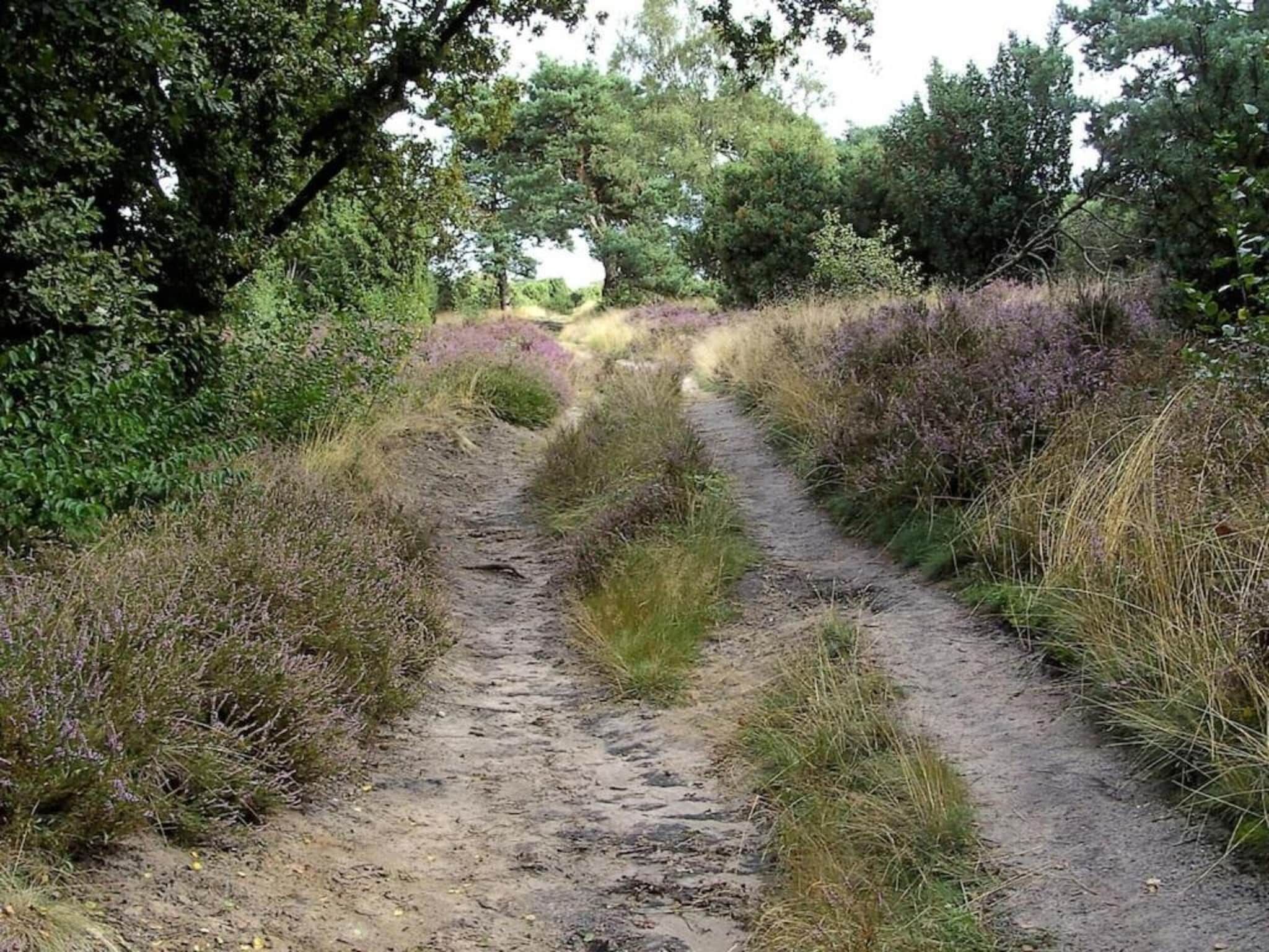 De omgeving van Hof van Salland 5 in Hellendoorn