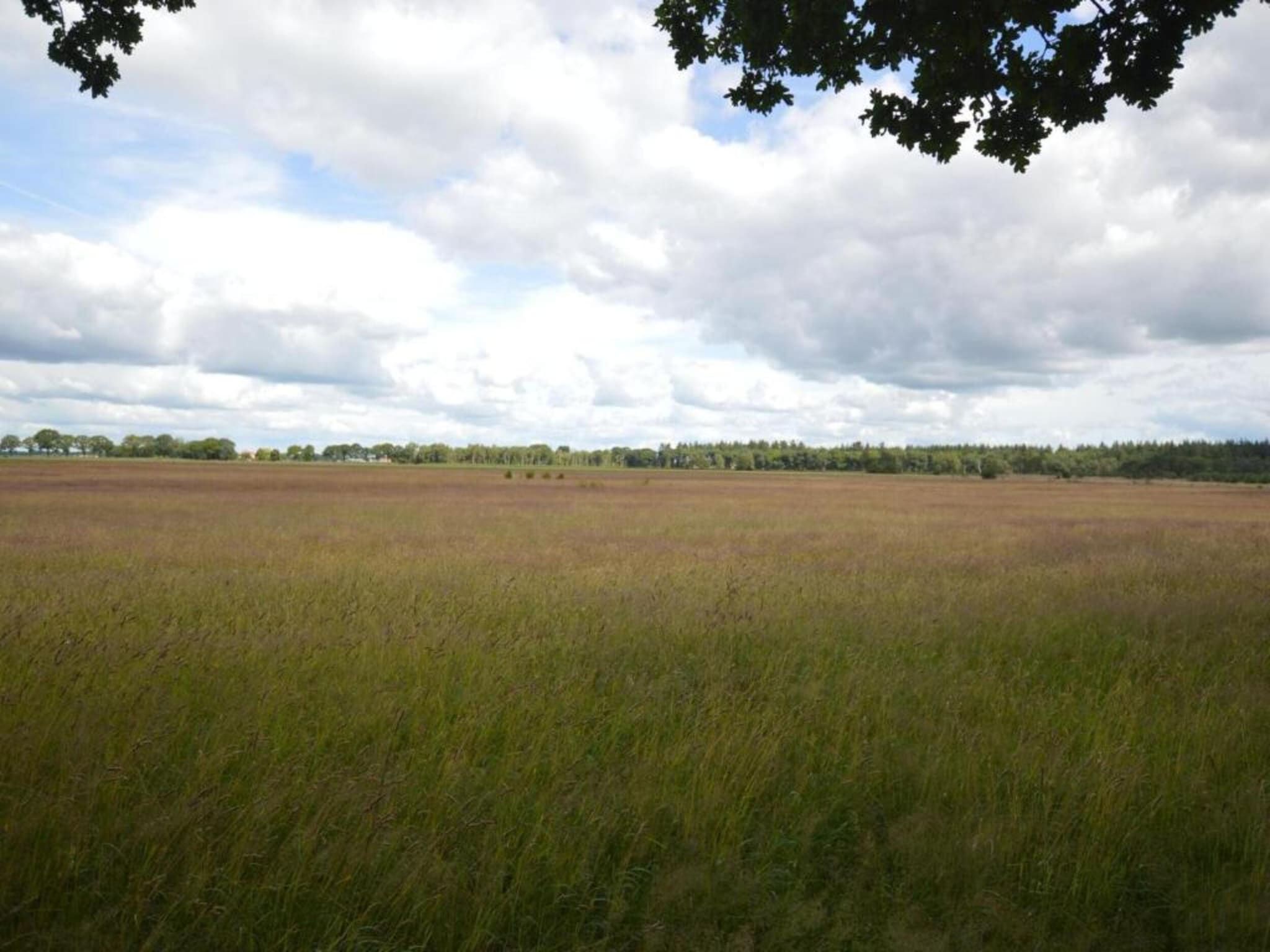 De omgeving van Hof van Salland 5 in Hellendoorn