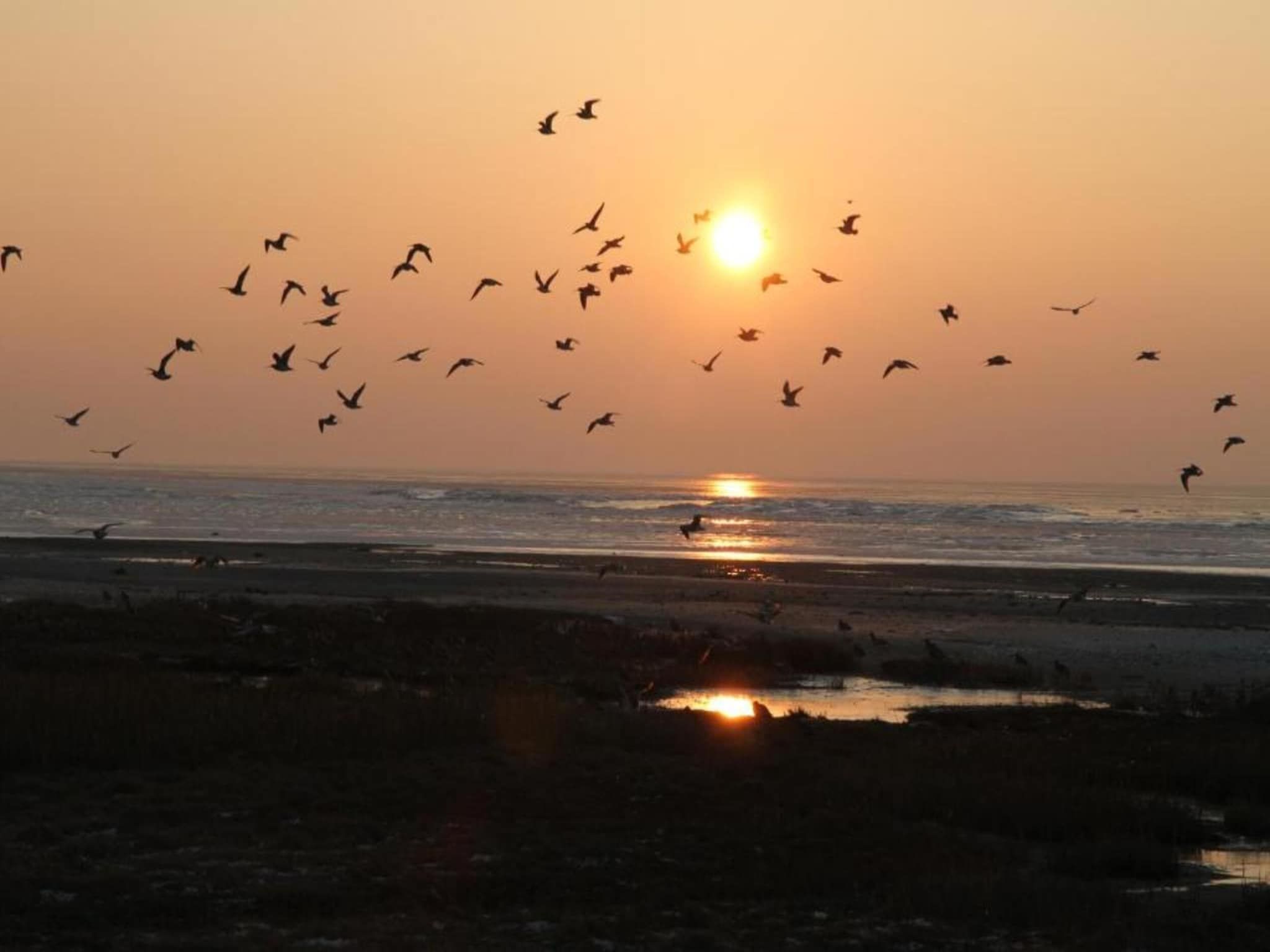 Boomhiemke Duinbungalow 4 in Hollum - Foto 12 van 40