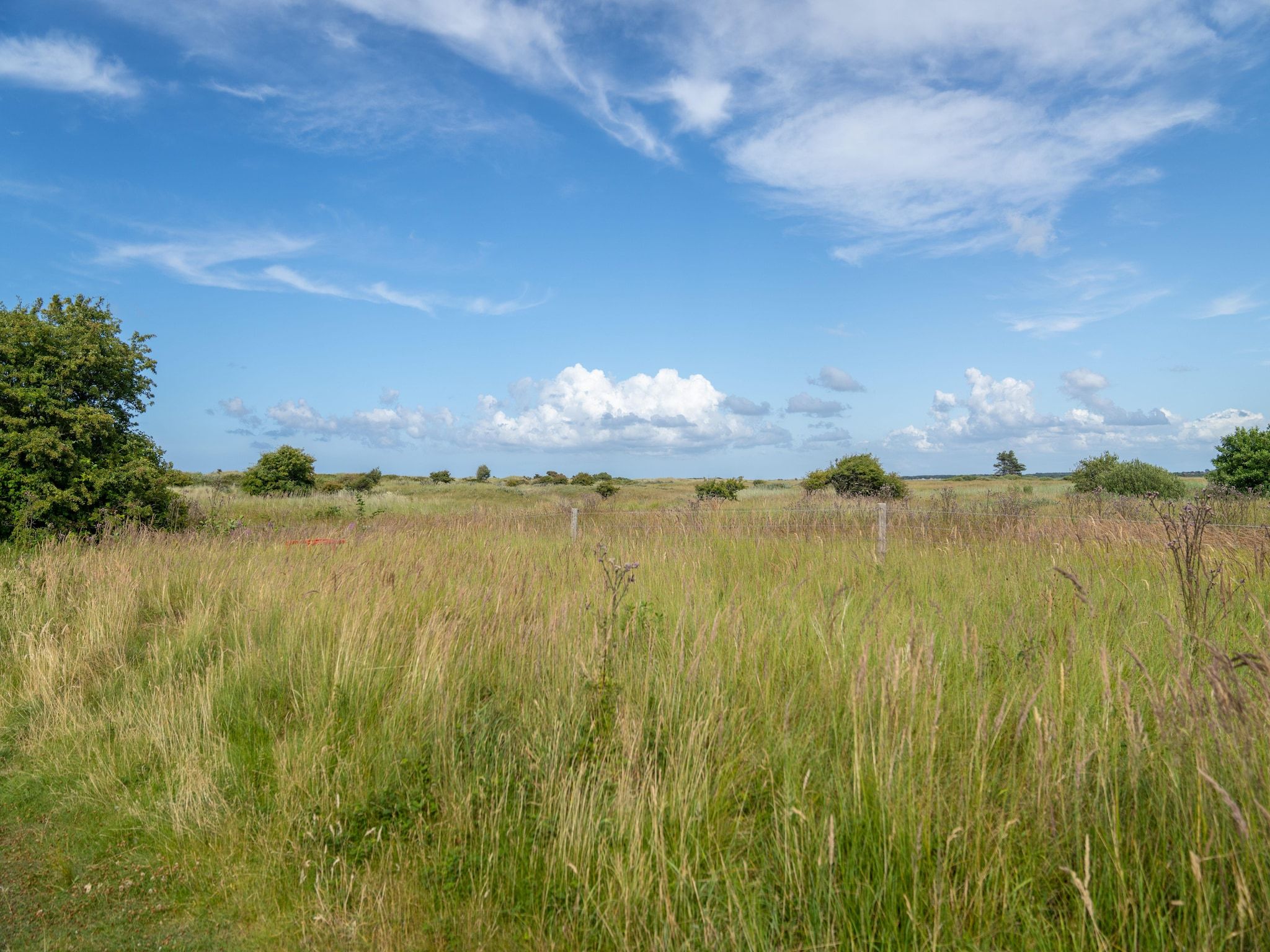 De tuin van Vakantiepark Boomhiemke 3 in Hollum
