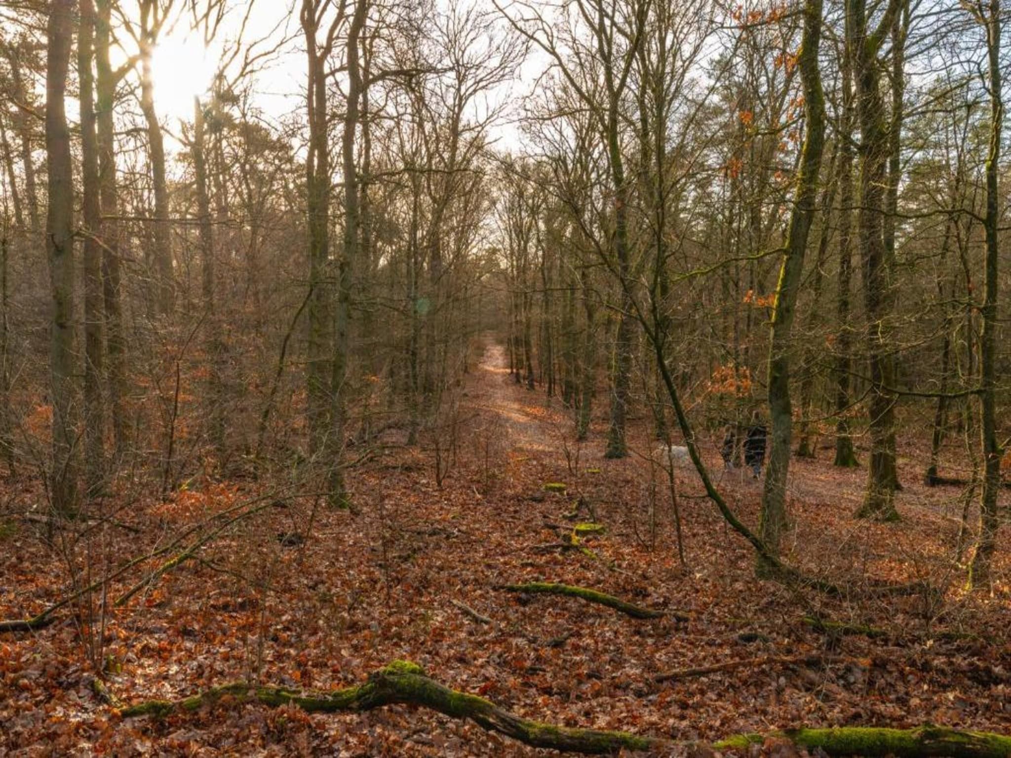 Bungalowpark Hoenderloo 5 in Hoenderloo - Foto 37 van 40