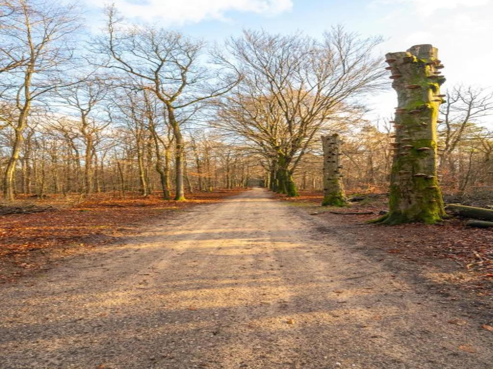 Bungalowpark Hoenderloo 5 in Hoenderloo - Foto 39 van 40