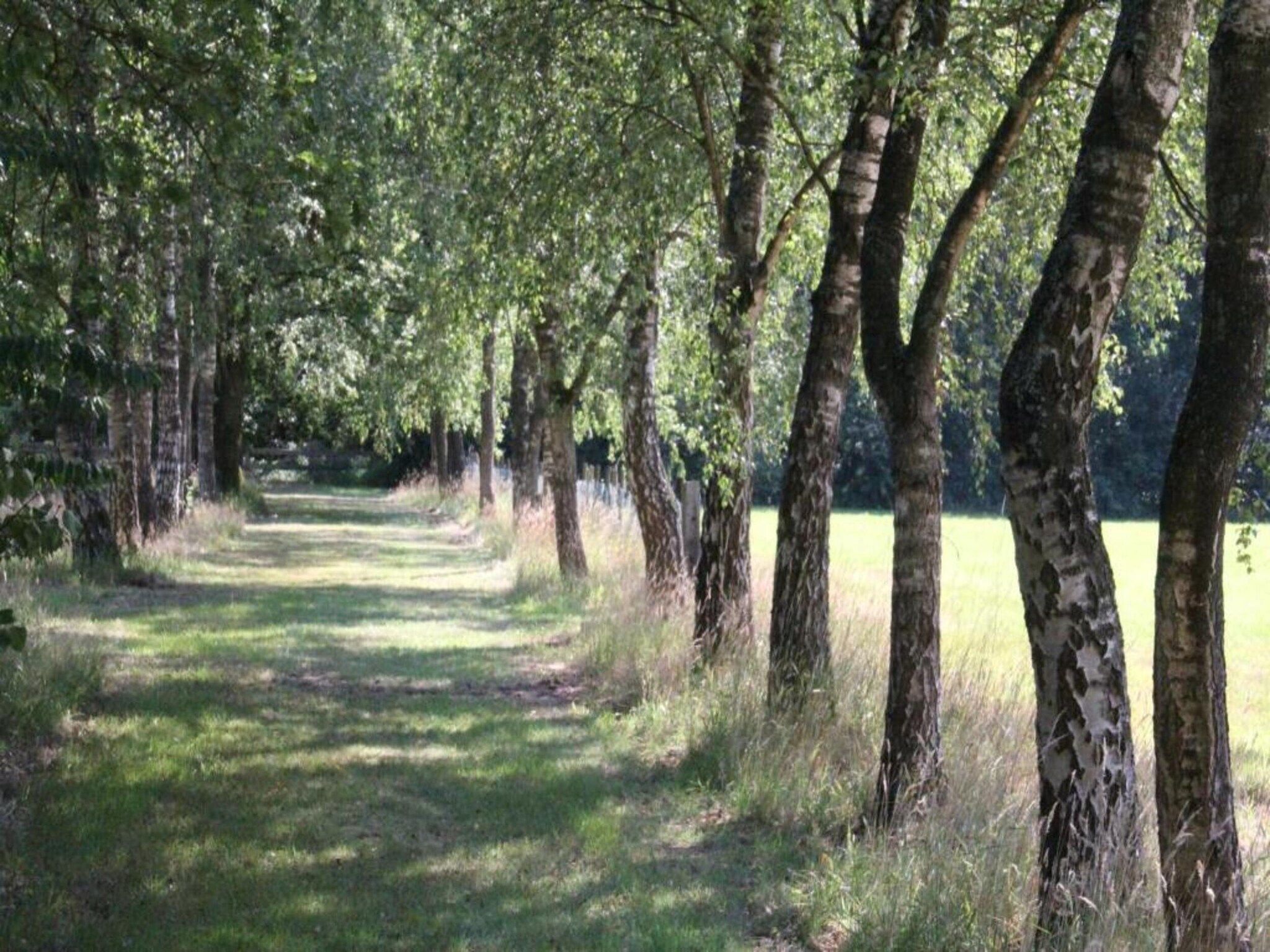 Vakantiepark de Tabaksschuur 2 in Elst - Foto 20 van 26