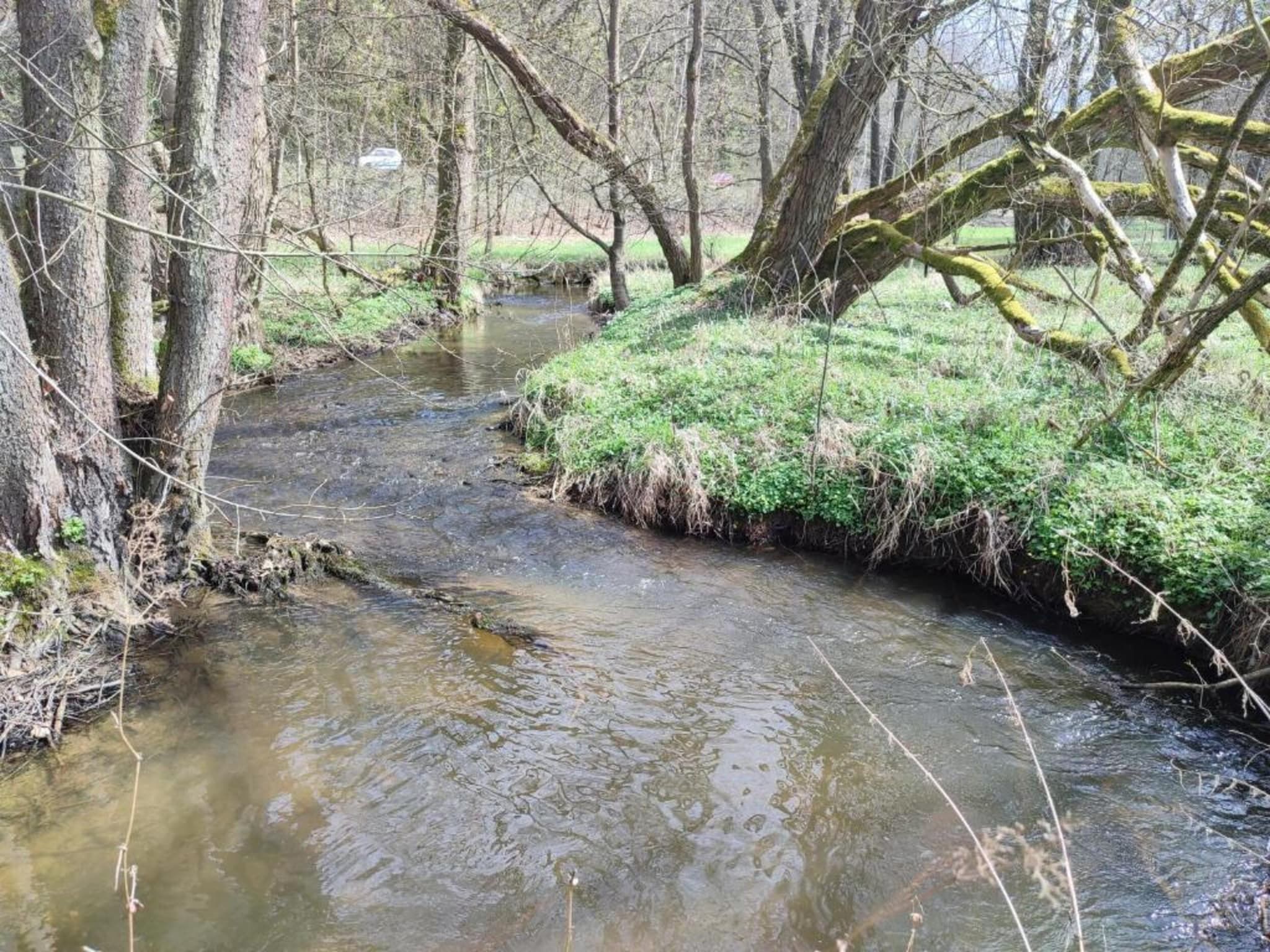 Vakantiepark de Tabaksschuur 2 in Elst - Foto 25 van 26