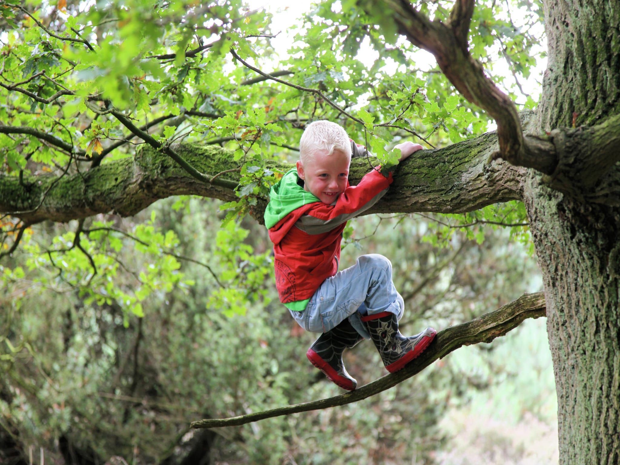 Sfeerbeeld van Recreatiepark Tolplas 15 in Hoge Hexel