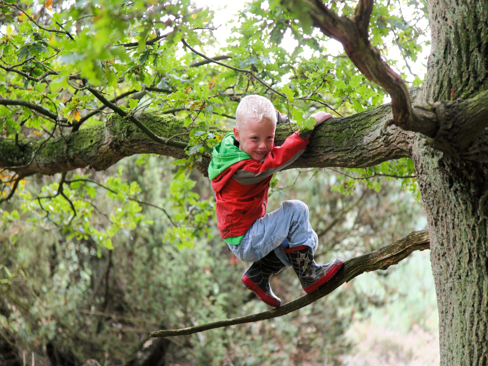Parkfaciliteiten bij Recreatiepark Tolplas 15 in Hoge Hexel