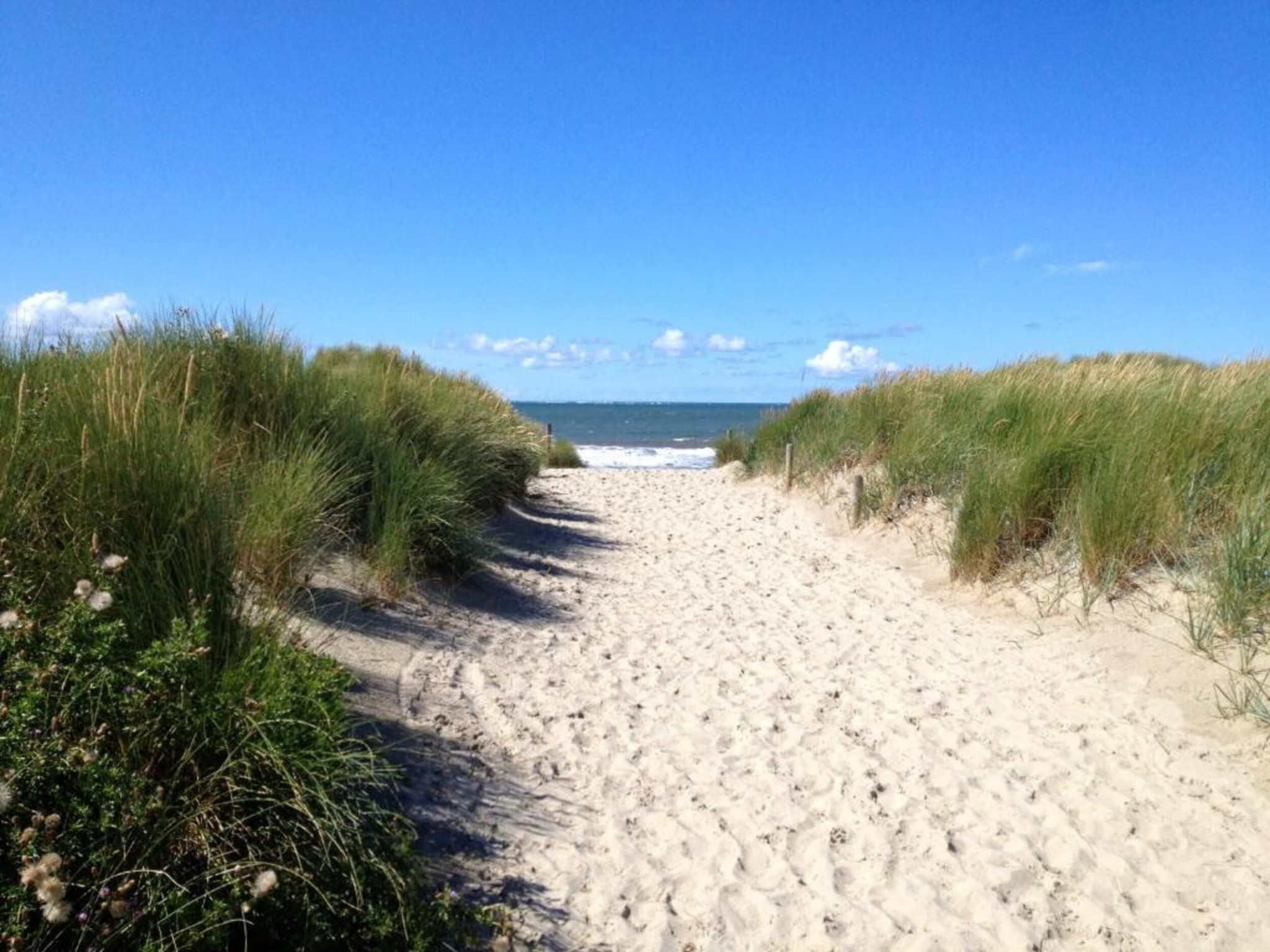 Vakantiepark Boomhiemke 7 in Hollum-Ameland - Foto 36 van 40