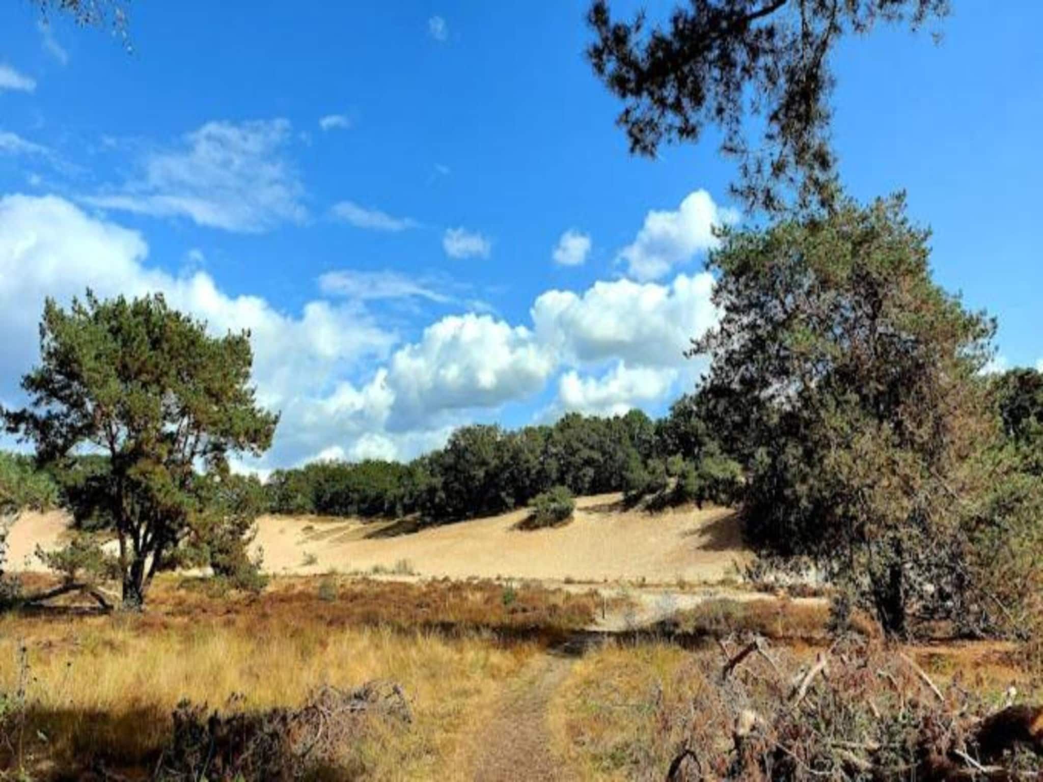 Vakantiepark Sandberghe 3 in Uden - Foto 35 van 42